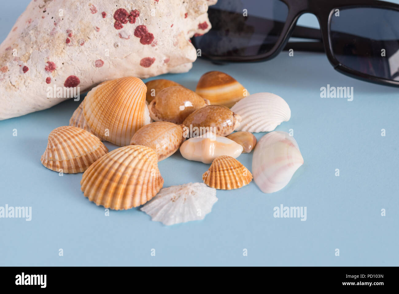 Close-up di diverse conchiglie e occhiali neri su sfondo azzurro. . Vista orizzontale. Immagine minimalista che cattura lo spirito dell'estate. Aca Foto Stock