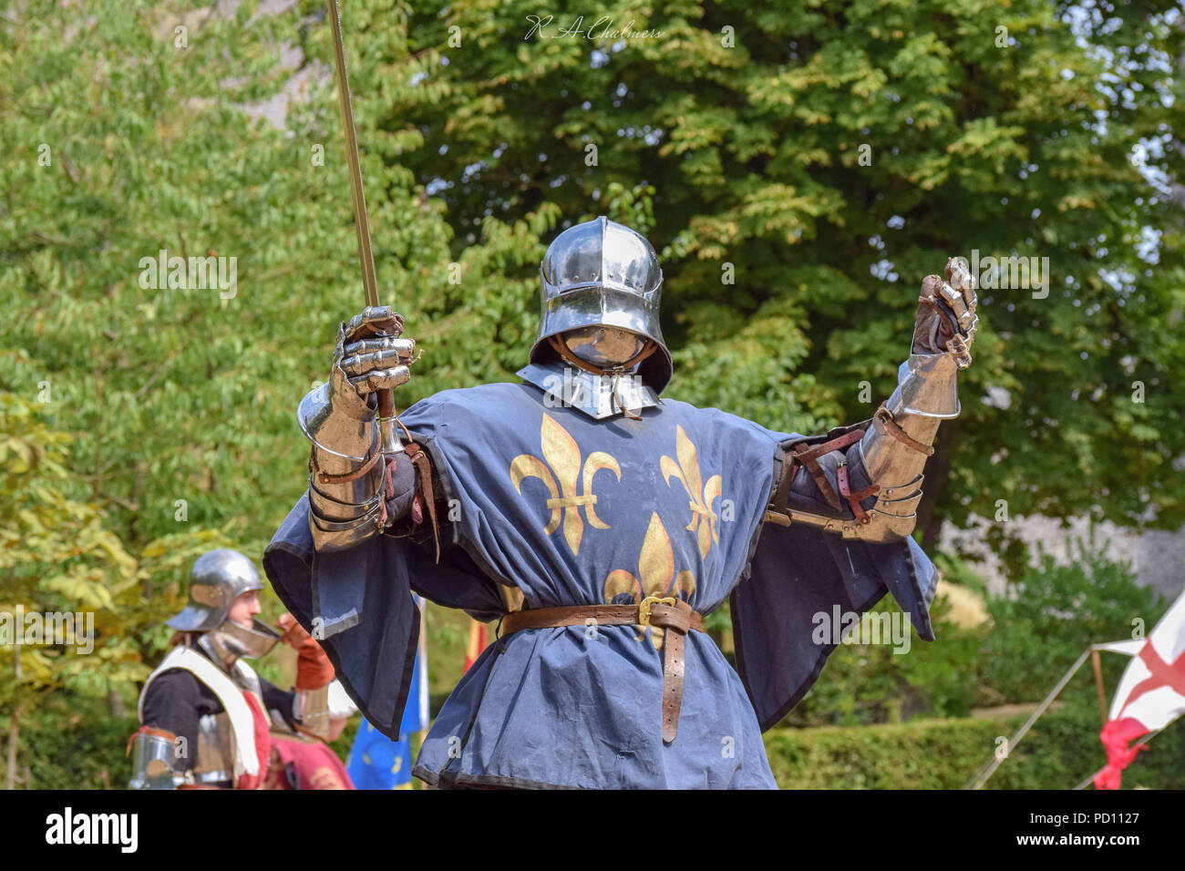 Raven-Tor Foto Stock