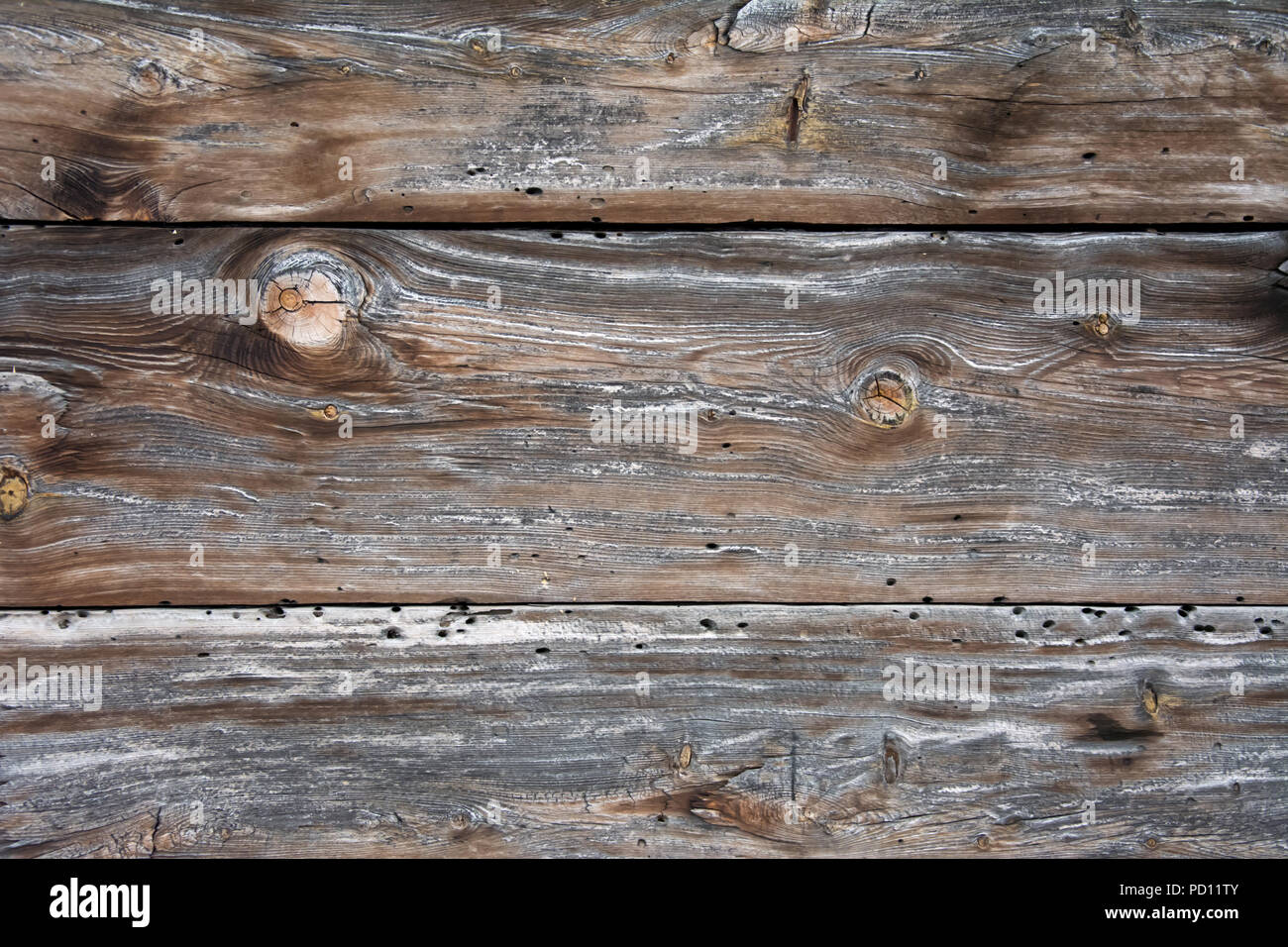 Primo piano della parete spiovente realizzato da tavole di legno con nodi e tarli fori Foto Stock