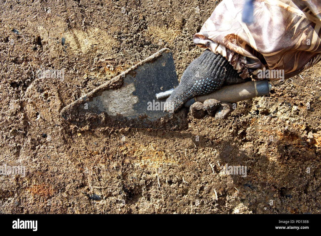 Archeologo la mano in un guanto protettivo con una cazzuola. Allineamento della parete dello scavo per identificare il livello culturale Foto Stock