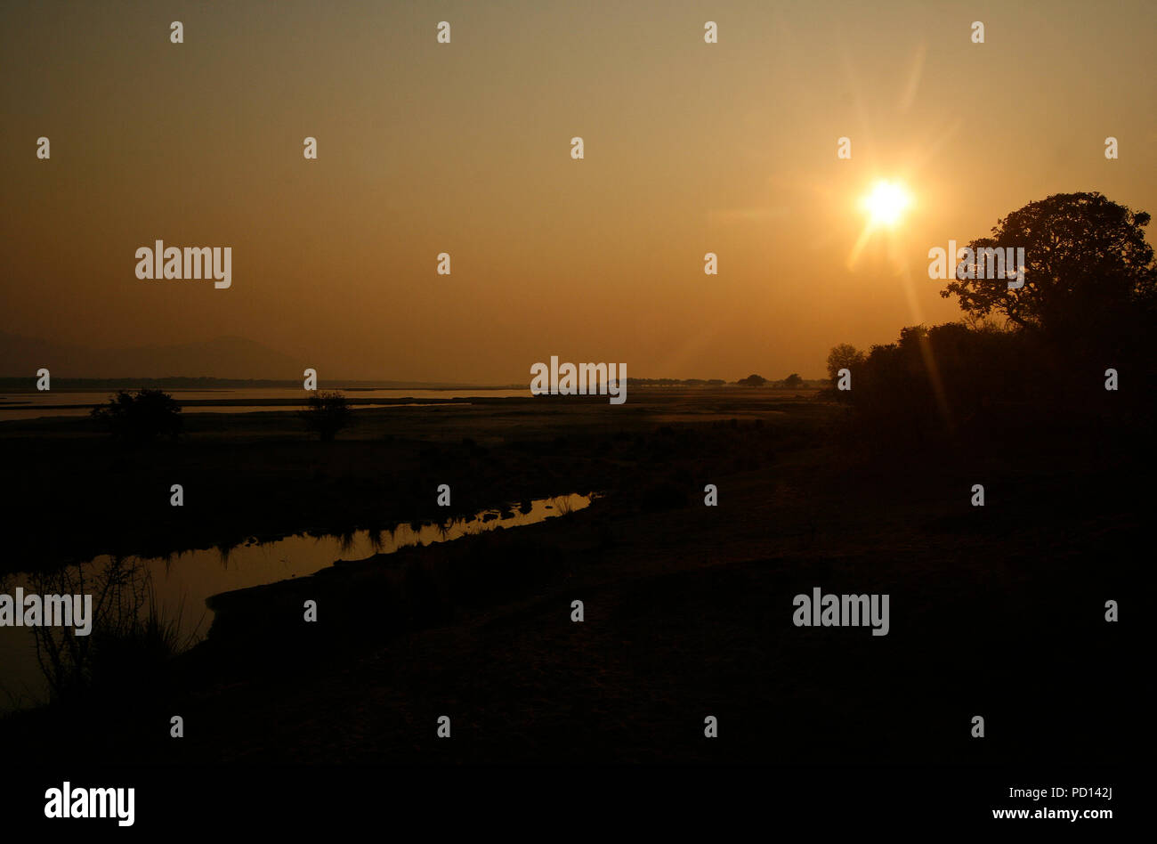 Fiume Zambesi, Mana Pools. Parco nazionale Foto Stock