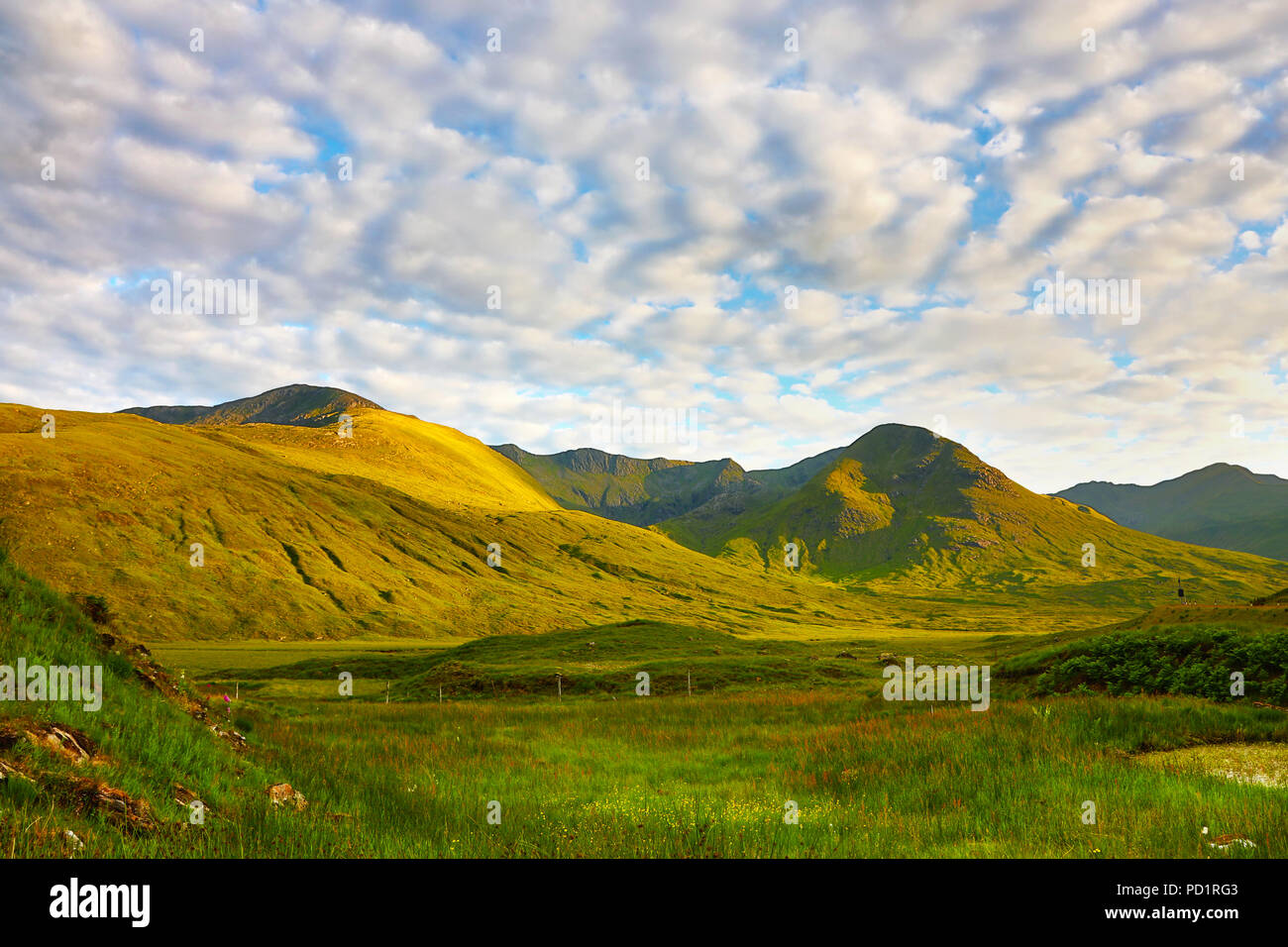Montagne vicino Glenmoriston in Glen Shiel, Skye e Lochalsh, Highlands scozzesi, Scozia Foto Stock