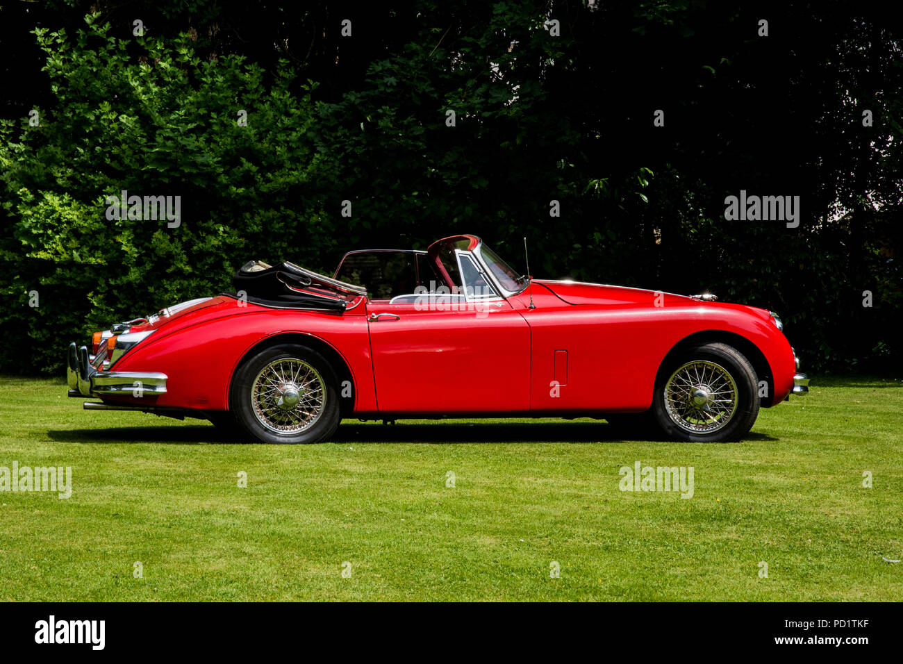 1959 red Jaguar XK 150 sul display pubblico sul prato Foto Stock