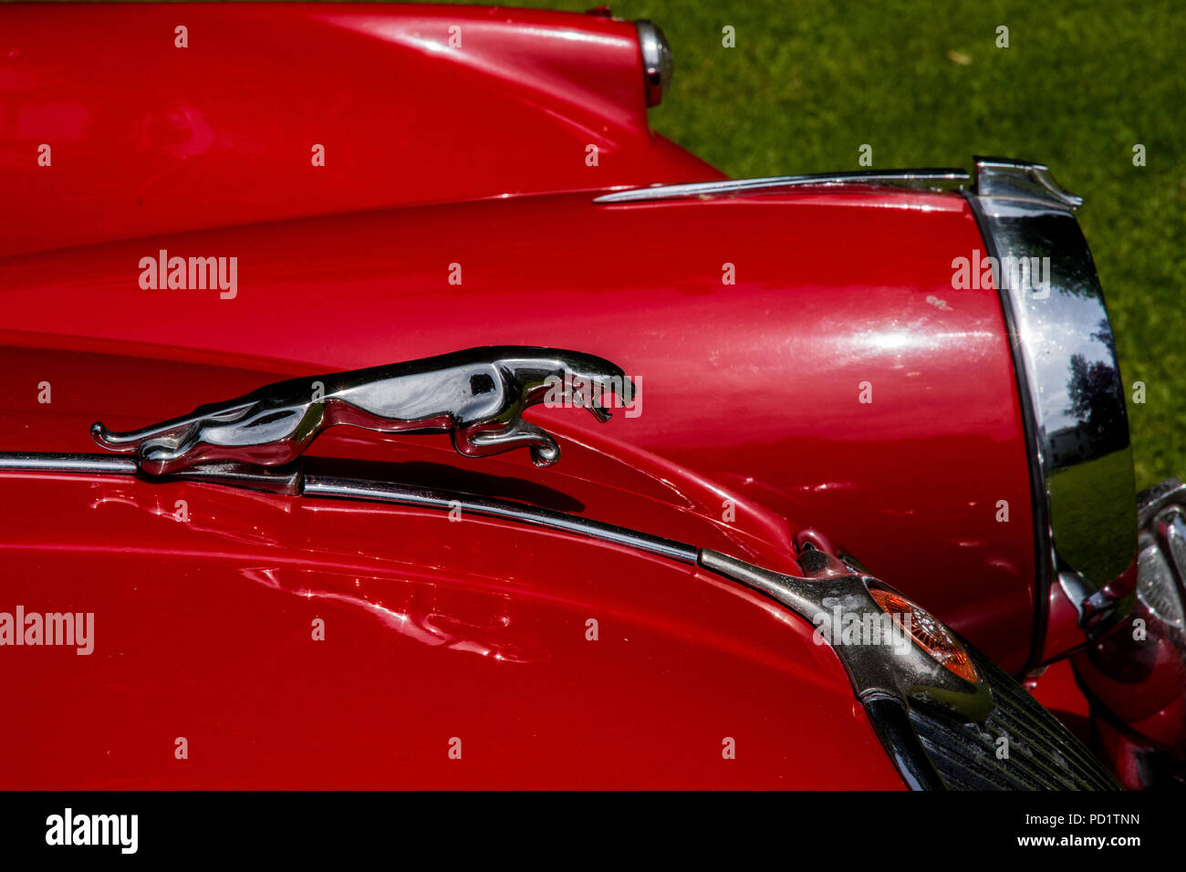 1959 red Jaguar XK 150 sul display pubblico sul prato Foto Stock