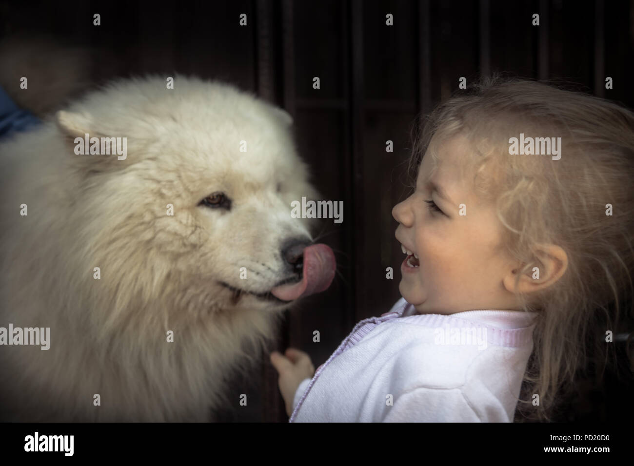 Divertimento kid bambino tipo cucciolo di cane animale domestico il concetto di cura amore animale care amicizia gentilezza Foto Stock