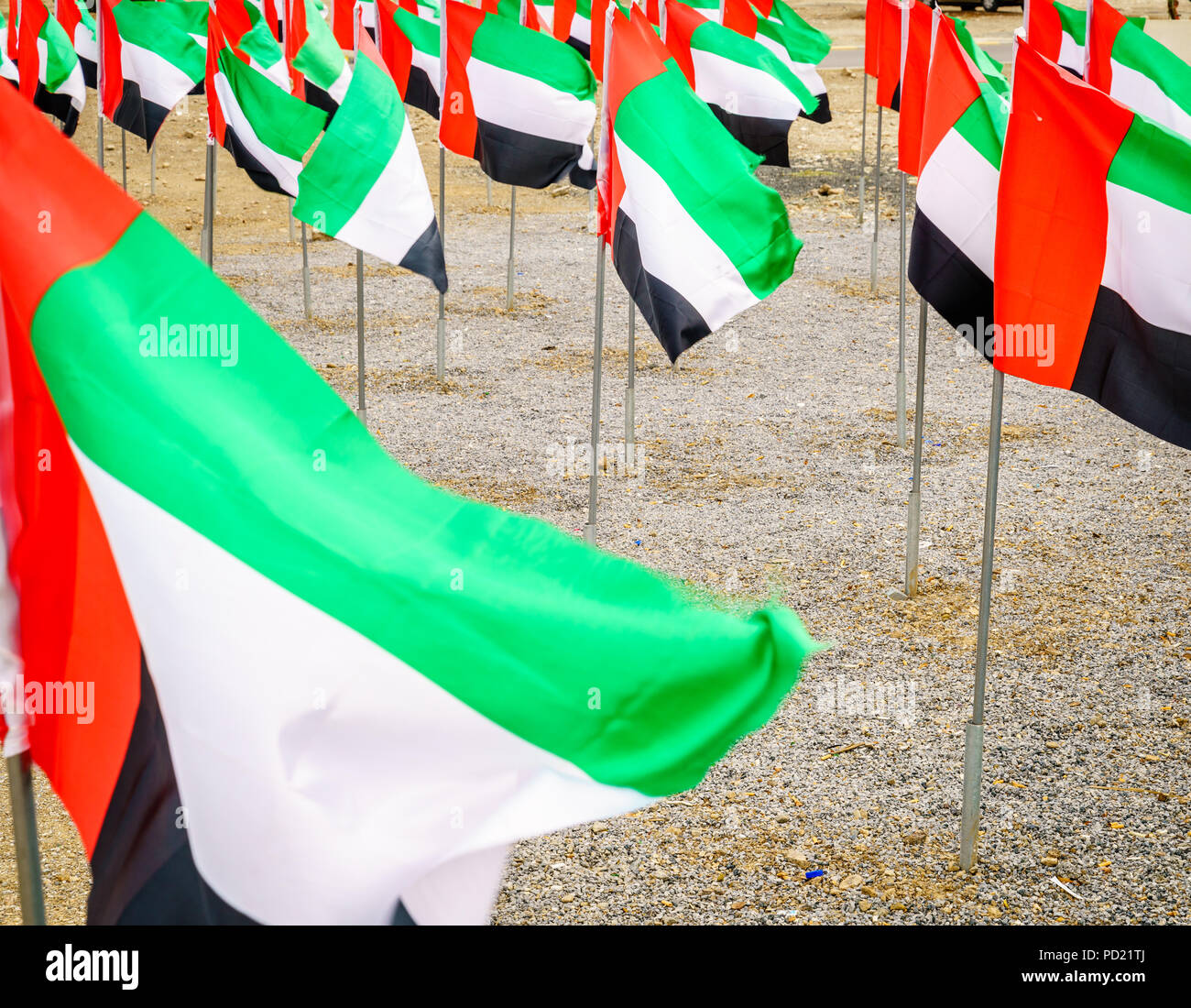 Visualizzazione delle bandiere degli EMIRATI ARABI UNITI SU UAE Giornata Nazionale Foto Stock
