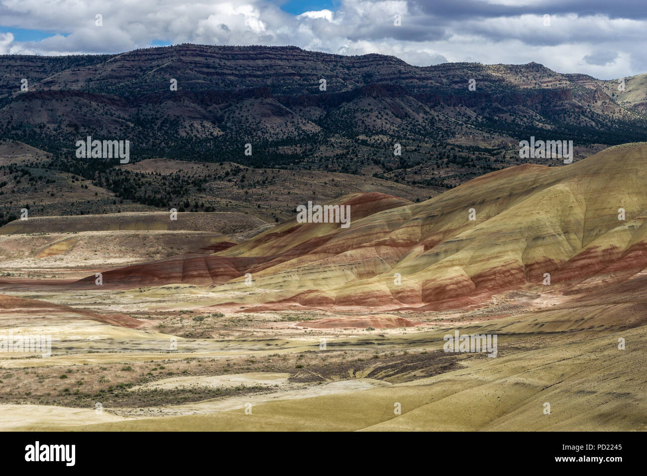 Colline dipinte di deserto, sedimentaria eroso colline con strati colorati vicino a Mitchell, John Day Fossil Beds National Monument, Central Oregon, Stati Uniti d'America. Foto Stock