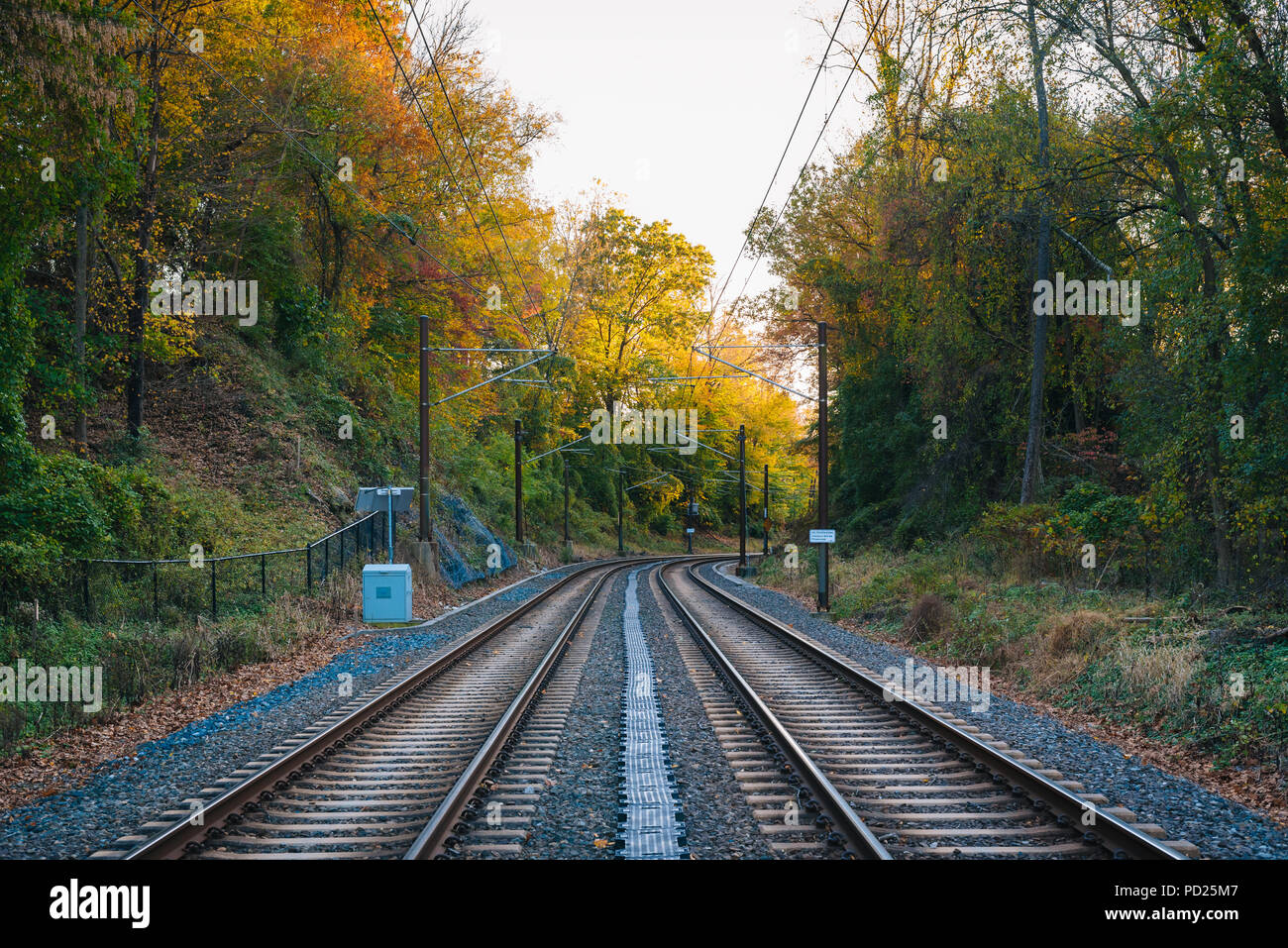 Light Rail le vie e Colore di autunno a Baltimora, Maryland Foto Stock