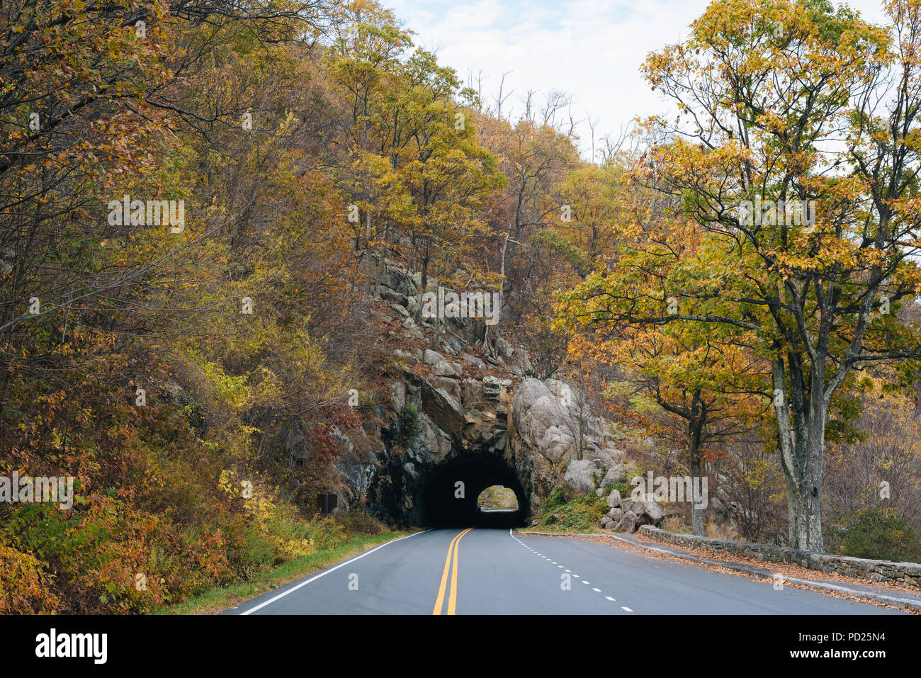 Mary's Rock Tunnel sulla Skyline Drive nel Parco Nazionale di Shenandoah, Virginia Foto Stock