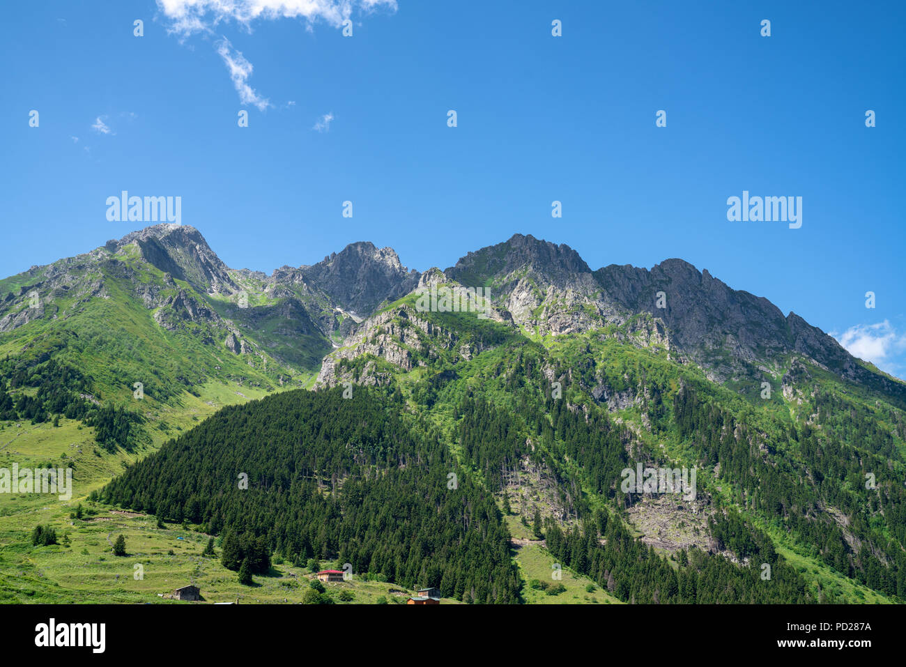 Kackar montagne con verde bosco landscapei n Rize,Turchia Foto Stock