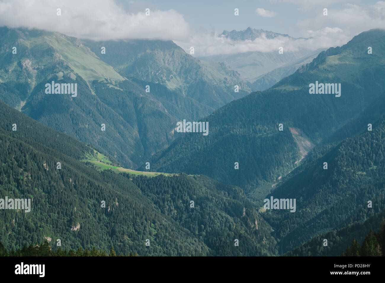 Kackar montagne con verde bosco landscapei n Rize,Turchia Foto Stock