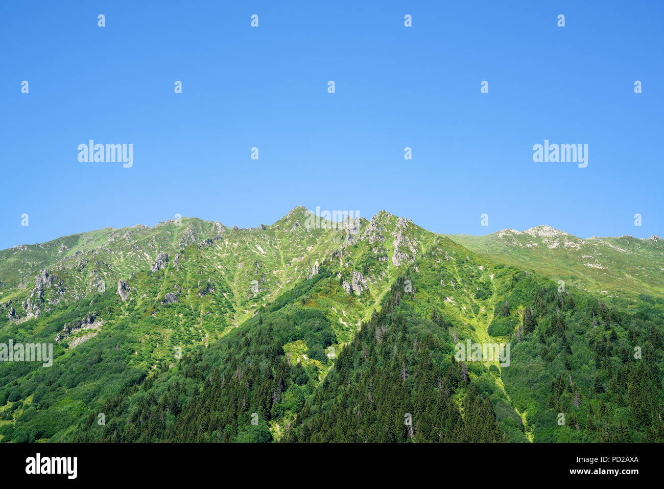 Kackar montagne con il verde paesaggio forestale a Rize,Turchia Foto Stock