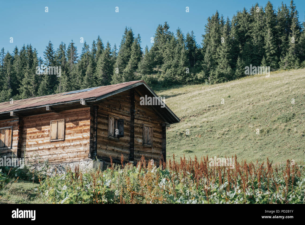 Vecchio legno bungalow casa in natura. Rize, Turchia Foto Stock