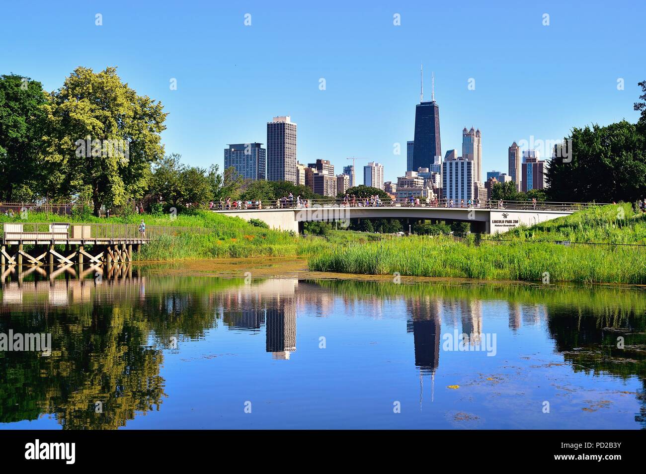 Chicago, Illinois, Stati Uniti d'America. Un segmento dello skyline della città refelcting nel sud stagno al Lincoln Park Zoo su un pomeriggio d'estate. Foto Stock