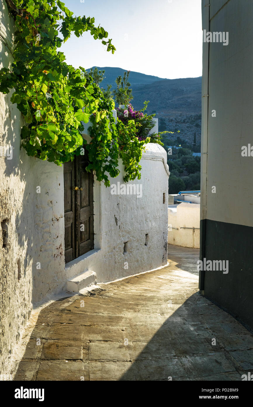 Questa è una foto del percorso nel villaggio greco di Lindos a Rodi. Vi è di vigneti che crescono su la pentecoste pareti lavate. Foto Stock