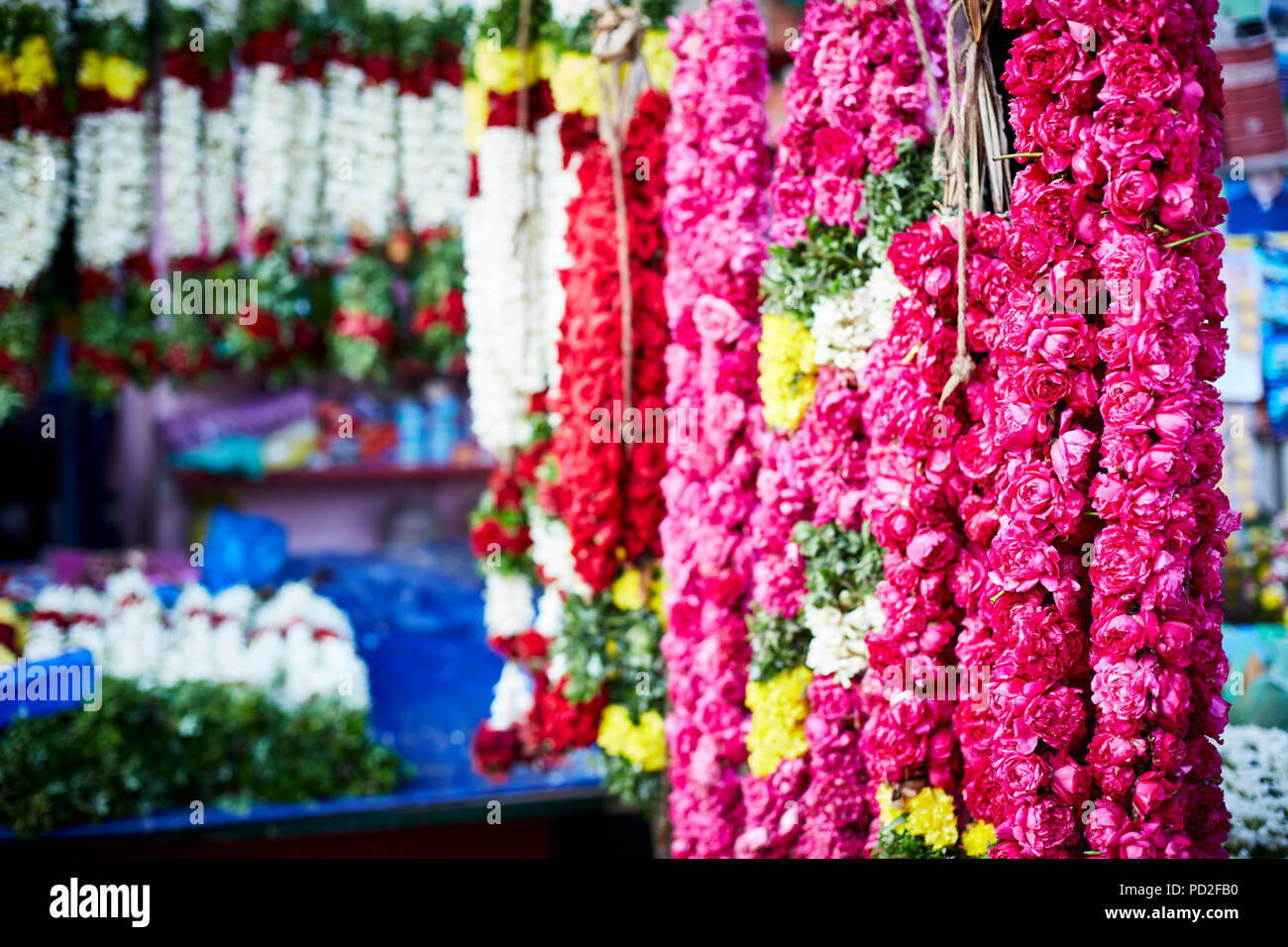 Garland stallo a Madurai vendita ghirlande di rose Foto Stock