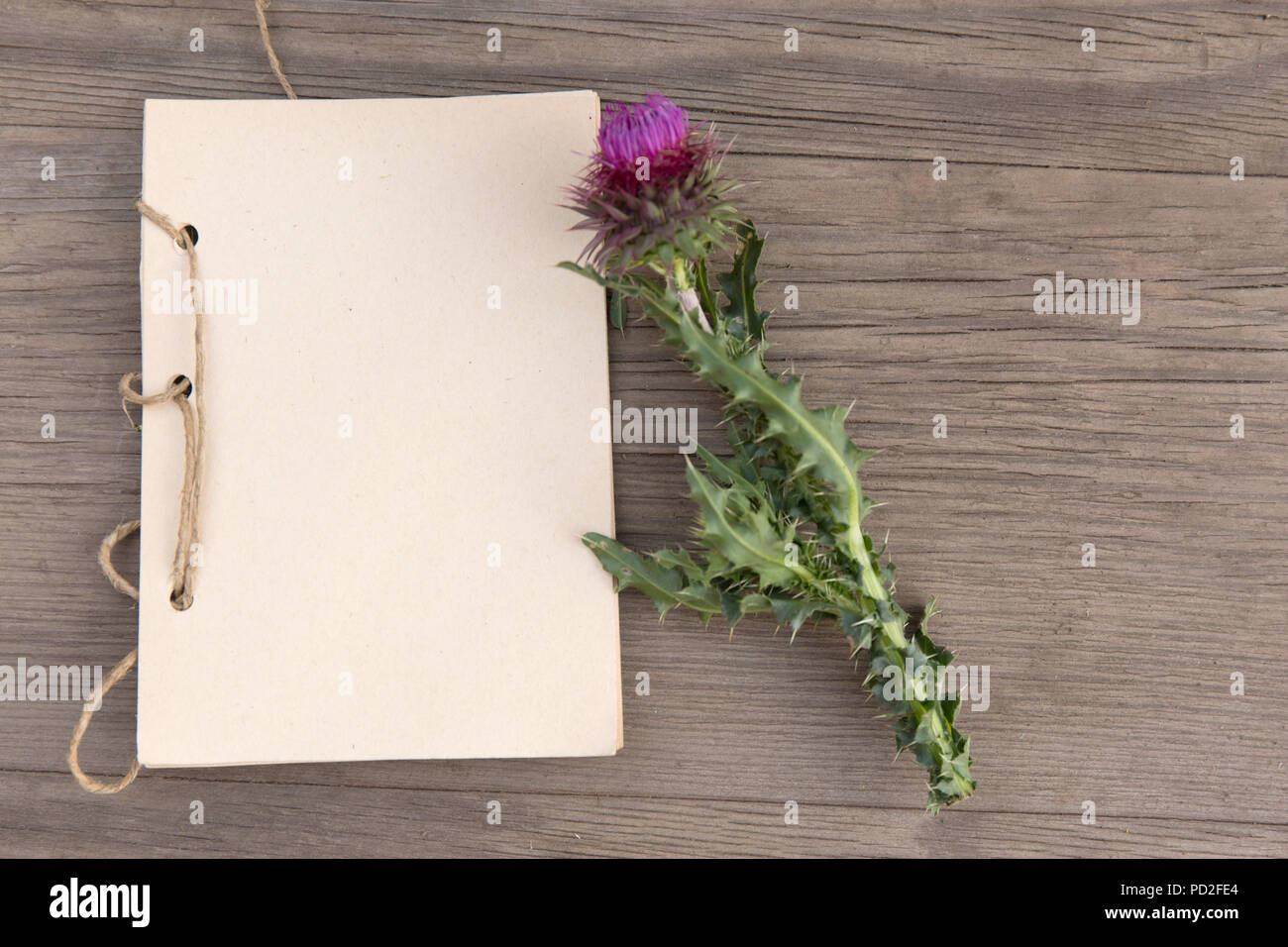 Millefiori con artigianali fatti a mano notebook sul vecchio grunge sfondo di legno. Vista dall'alto. In stile minimalista mockup. Foto Stock