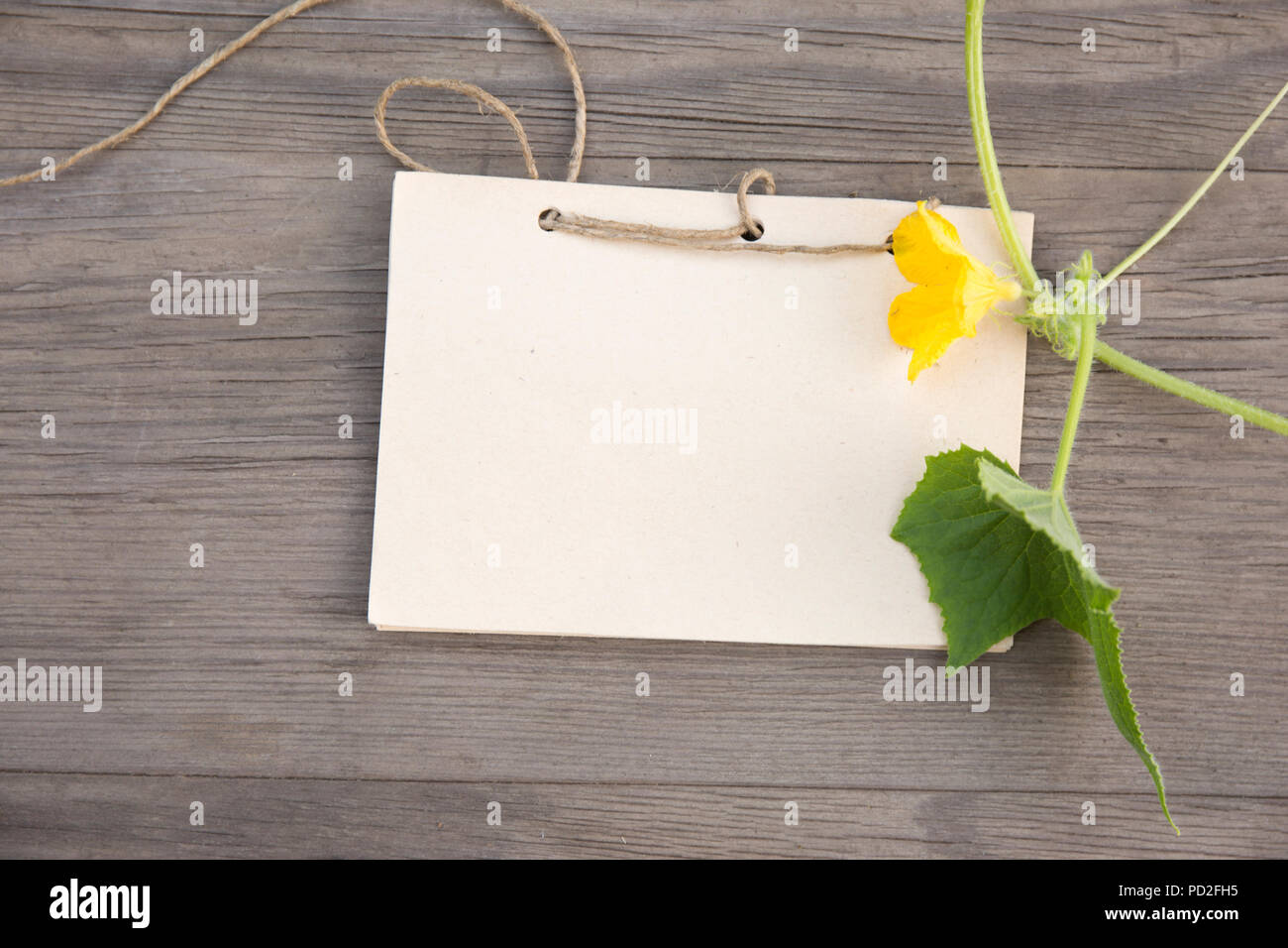 Fiore di cetriolo con artigianali fatti a mano notebook sul vecchio grunge sfondo di legno. Vista dall'alto. In stile minimalista mockup. Foto Stock