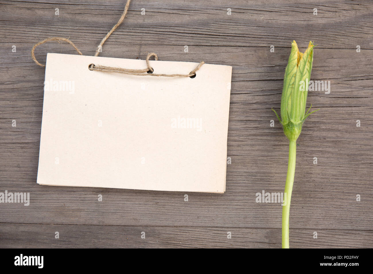Fiori di zucca con artigianali fatti a mano notebook sul vecchio grunge sfondo di legno. Vista dall'alto. In stile minimalista mockup. Foto Stock