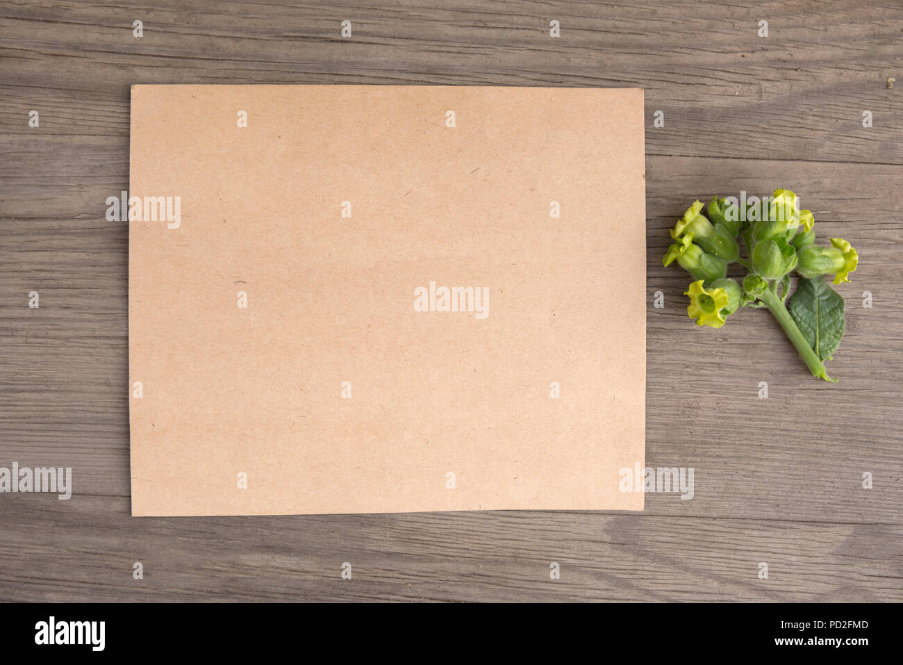 Fiori di tabacco con artigianali fatti a mano notebook sul vecchio grunge sfondo di legno. Vista dall'alto. In stile minimalista mockup. Foto Stock