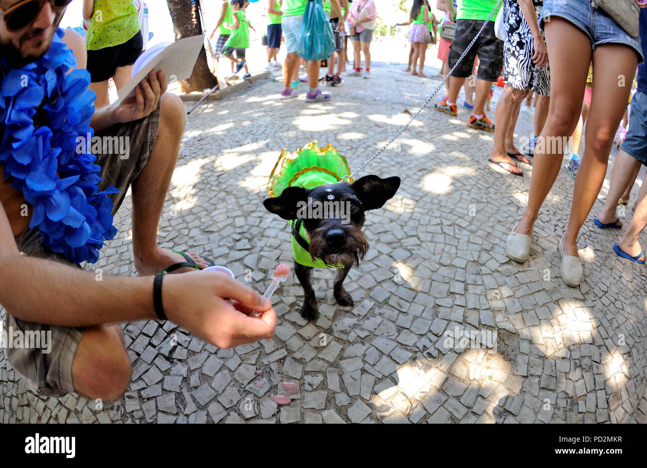 Rio de Janeiro pet parade, Brasile - 31 Gennaio 2016: i proprietari di cani si incontrano lungo la bellissima spiaggia di Copacabana per celebrare il Carnevale con i loro animali Foto Stock