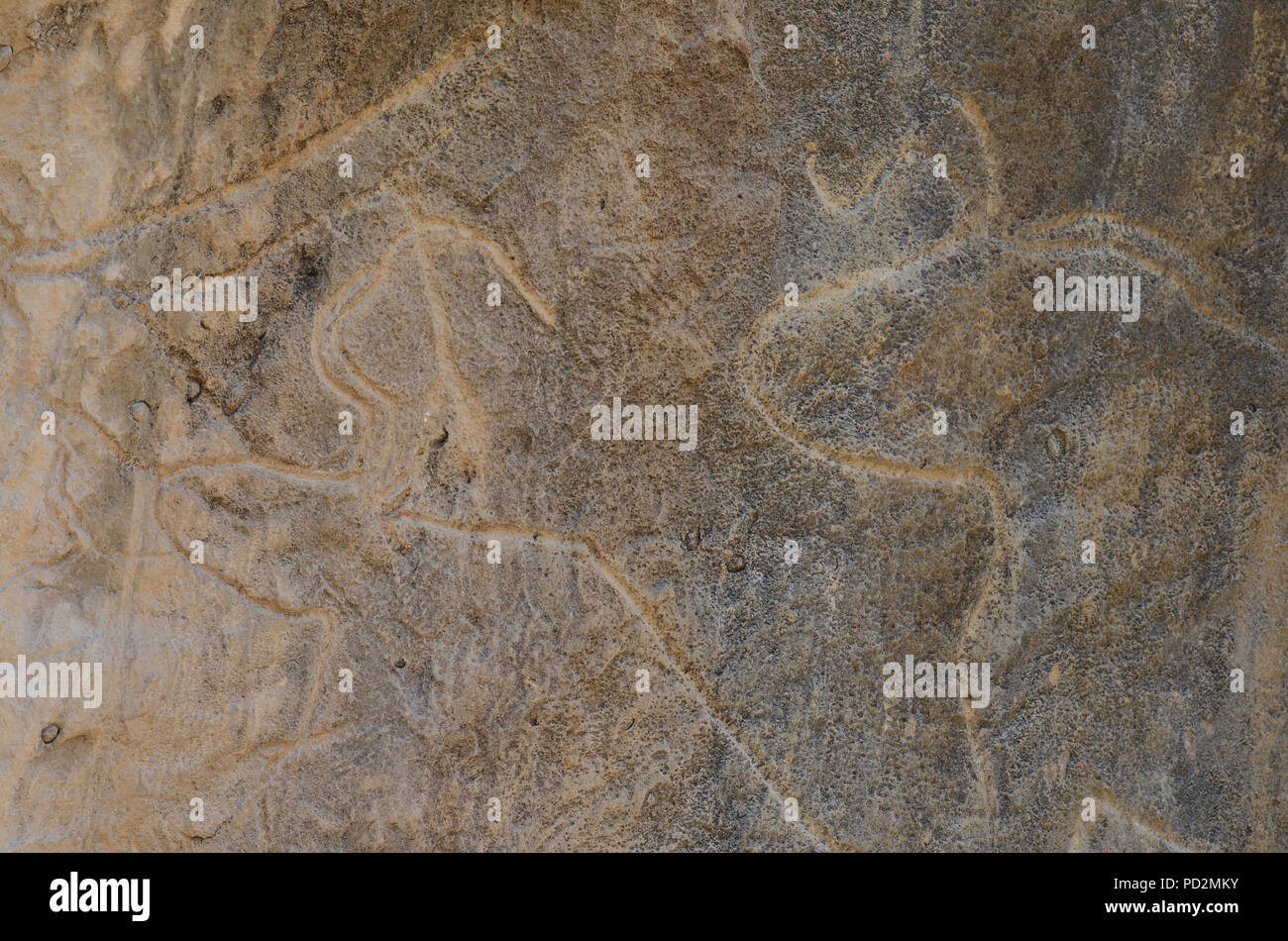 Antiche incisioni rupestri in Gobustan (Qobustan), Azerbaigian Foto Stock