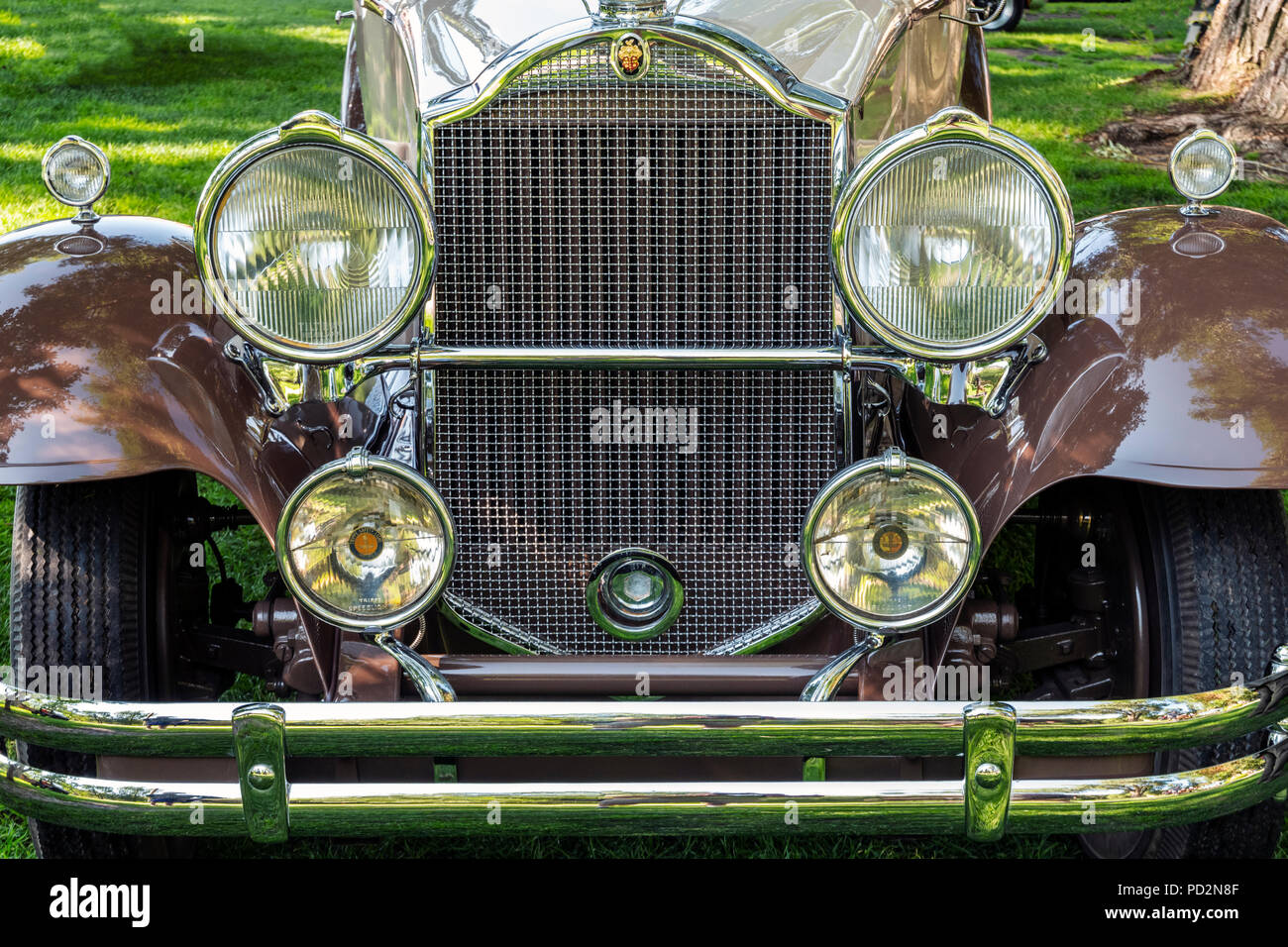 1931 Antique Packard Roadster convertible; Angelo di Shavano Car Show, allevatore per Chaffee County Search & Rescue Sud, Salida, Colorado, STATI UNITI D'AMERICA Foto Stock