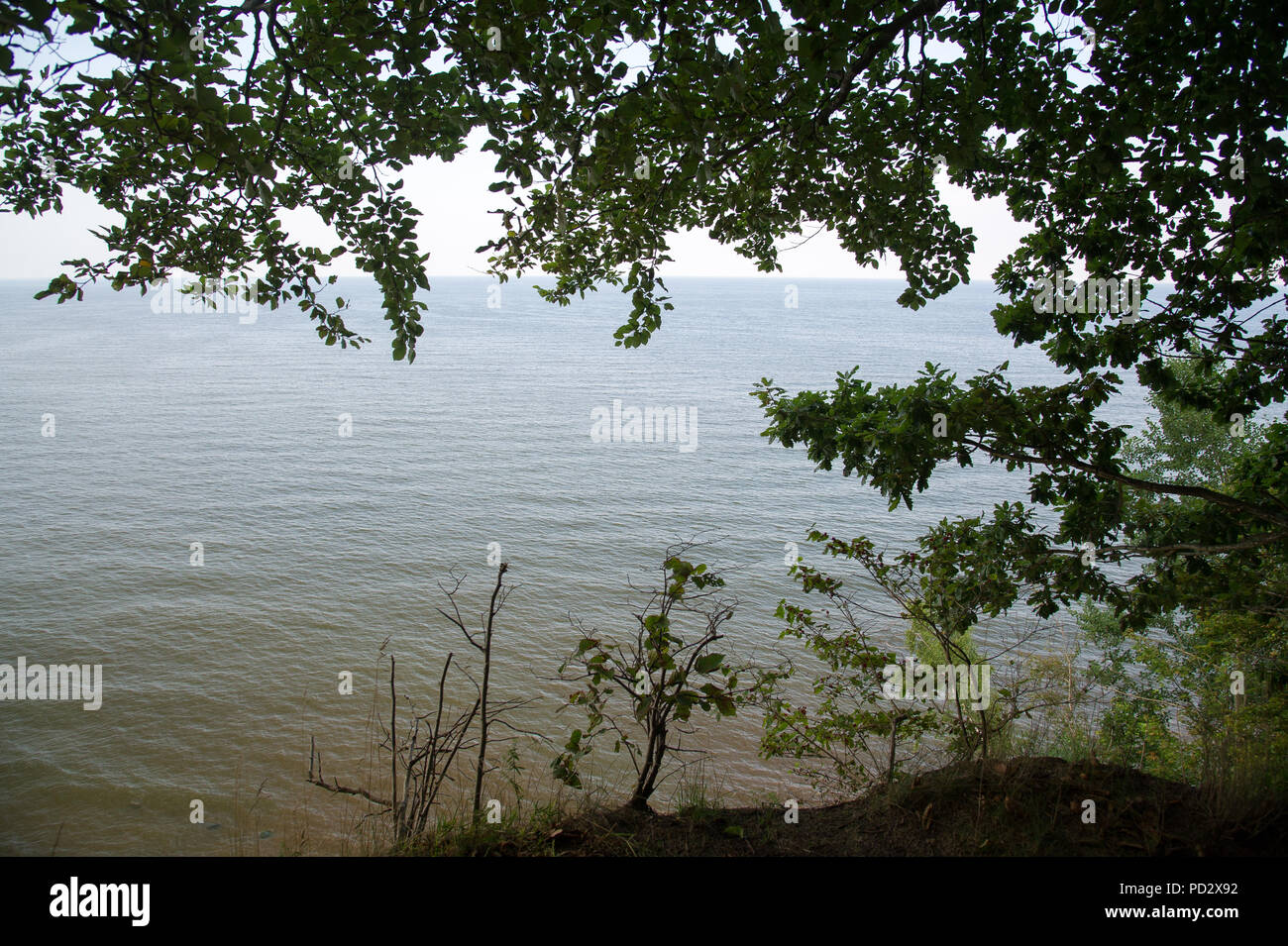 Golfo di Danzica Gdynia Orlowo, Polonia. 1 agosto 2018 © Wojciech Strozyk / Alamy Stock Photo Foto Stock