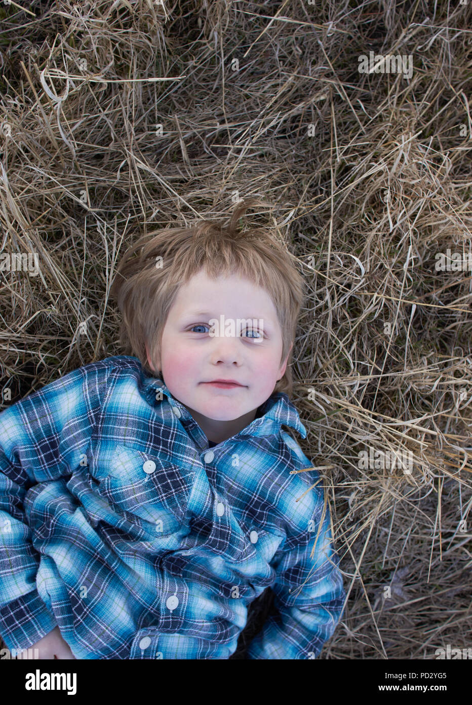 Ragazzo che giace in erba secca, ritratto Foto Stock