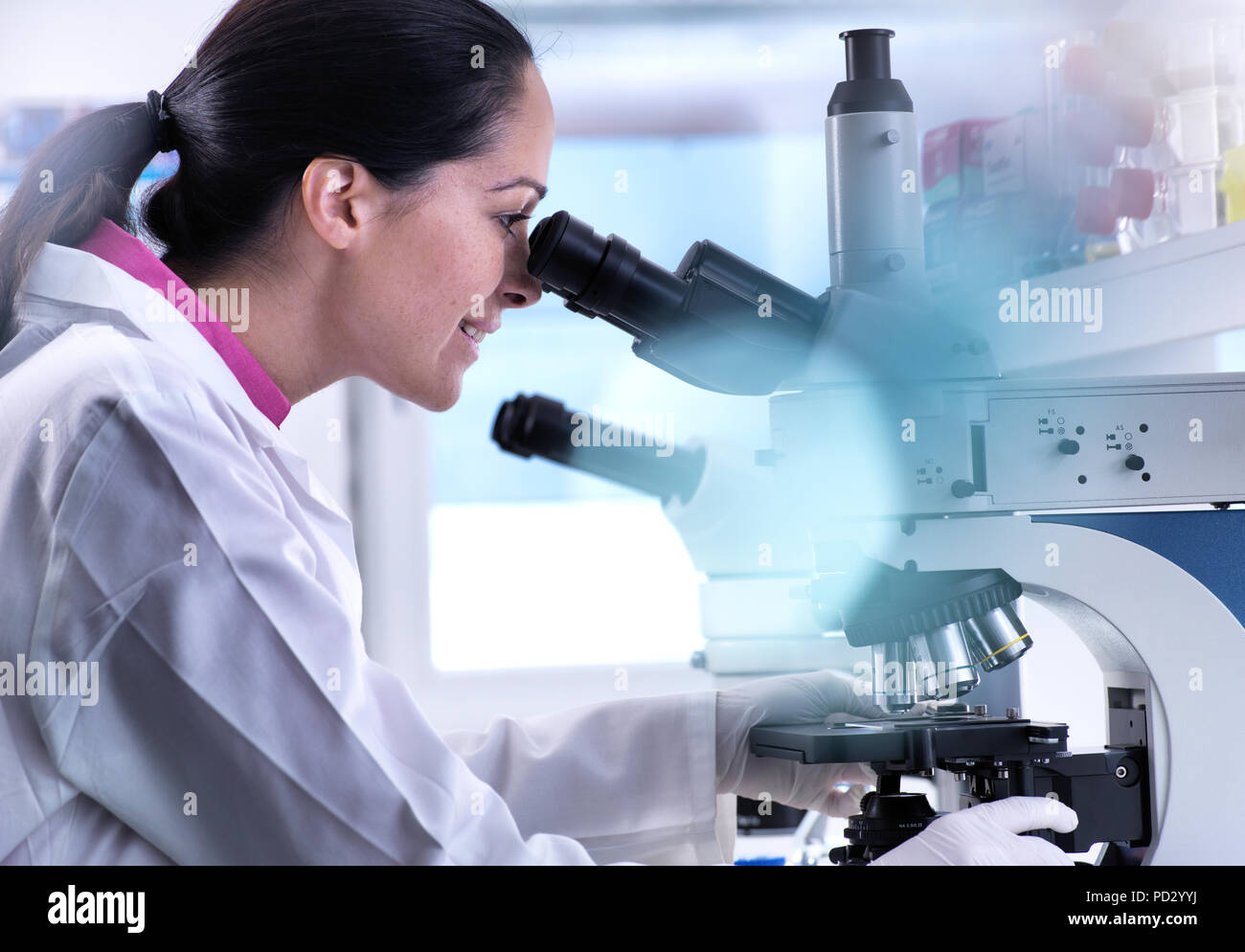 Visualizzazione dello scienziato campione umano sul vetrino al microscopio Foto Stock