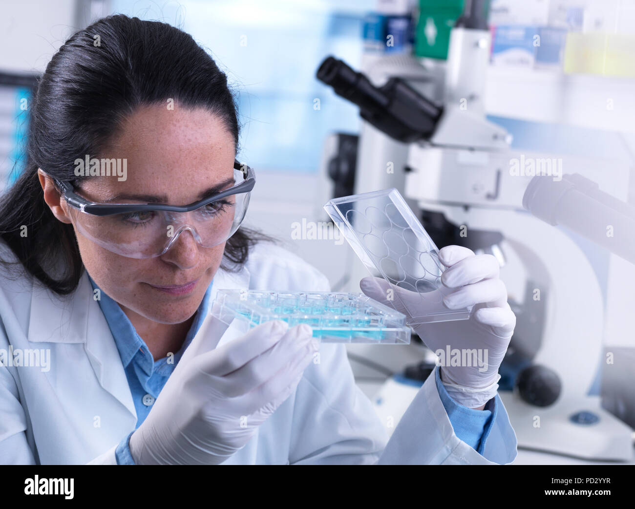 Scienziato esaminando campioni in multi pozzetti contenente sangue Pronto per test automatizzati Foto Stock