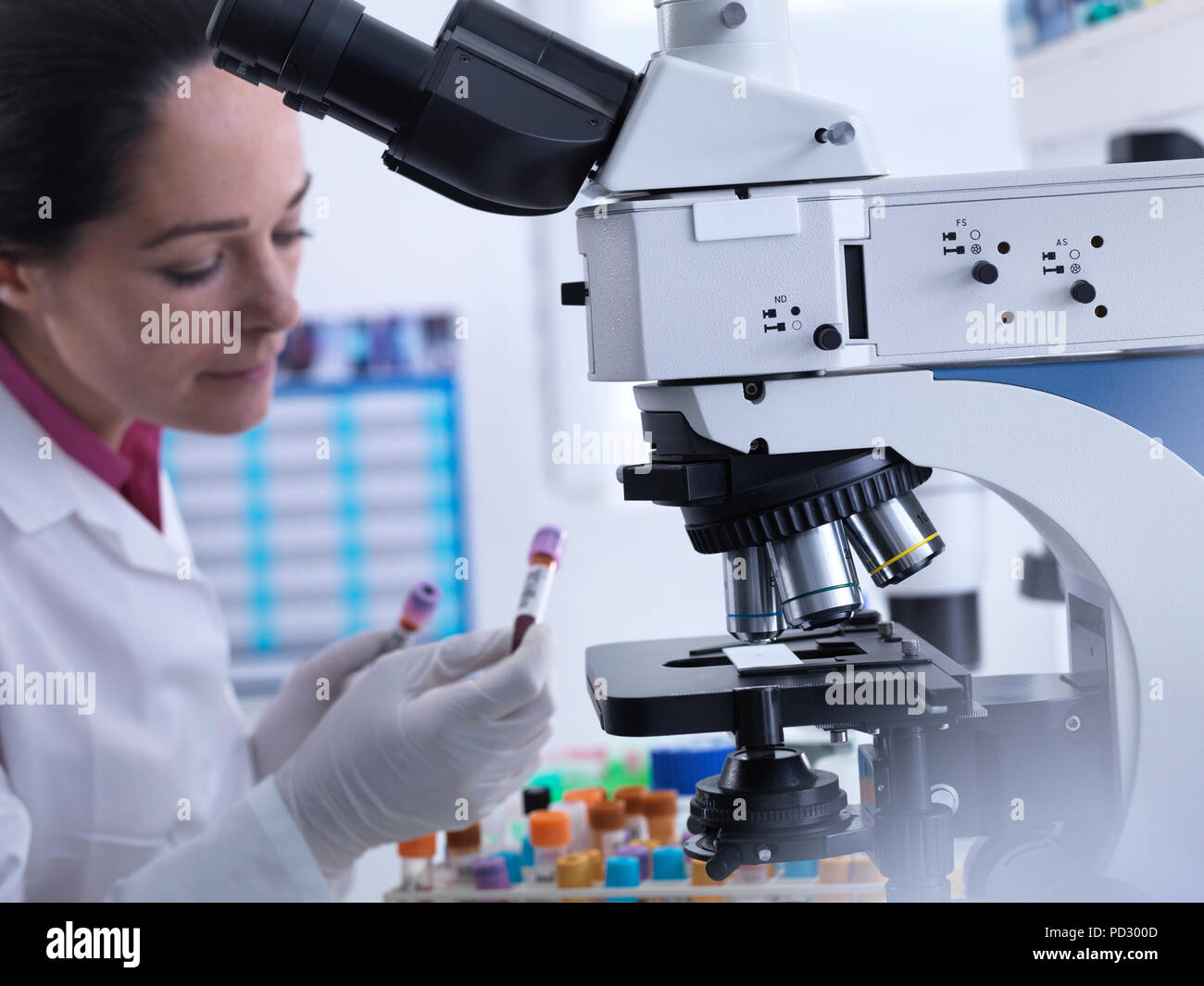 Scienziato esaminando il codice a barre ed etichetta sul campione di sangue prima del test medici Foto Stock