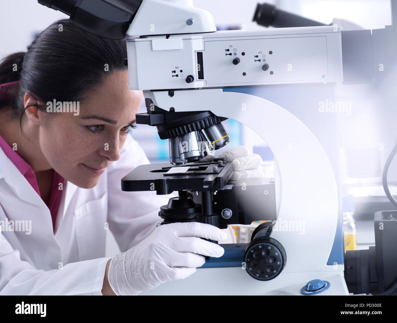 Visualizzazione dello scienziato campione umano sul vetrino al microscopio Foto Stock