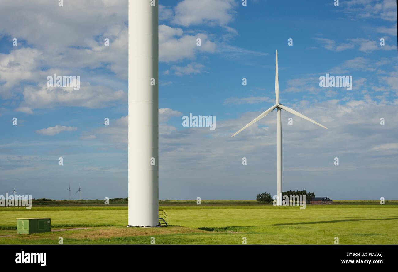 Turbina eolica su terreno coltivato, Kamperland, Zeeland, Paesi Bassi Foto Stock