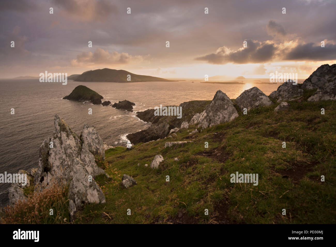 Dunmore Testa e isole Blasket, Dingle, Kerry, Irlanda Foto Stock