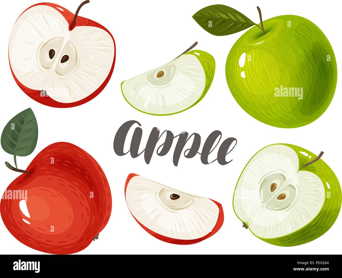 Apple e fette. Fresco e succoso frutto. Illustrazione Vettoriale Illustrazione Vettoriale