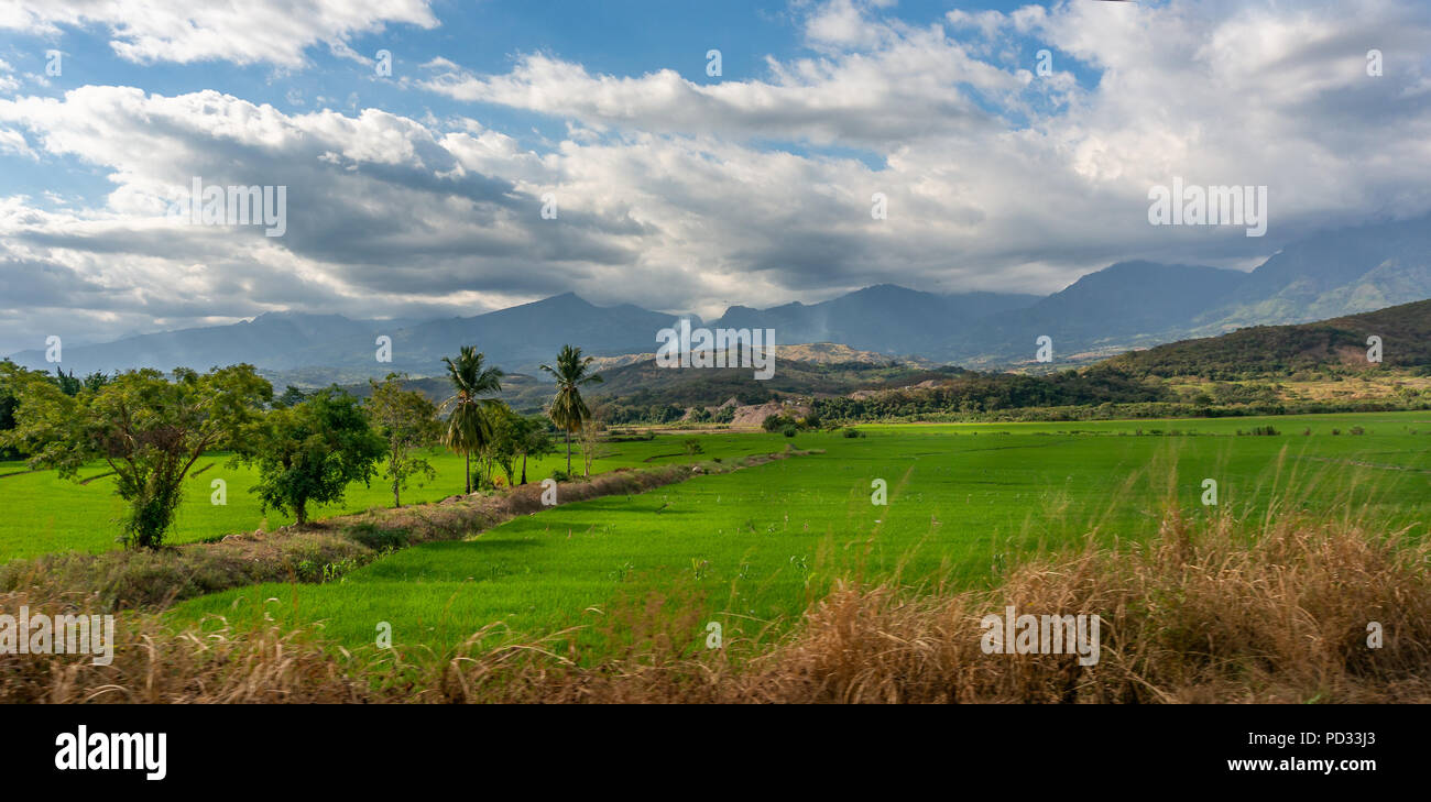 Montagne delle Ande con i campi di riso nel sud della regione amazzonica del Perù. Foto Stock