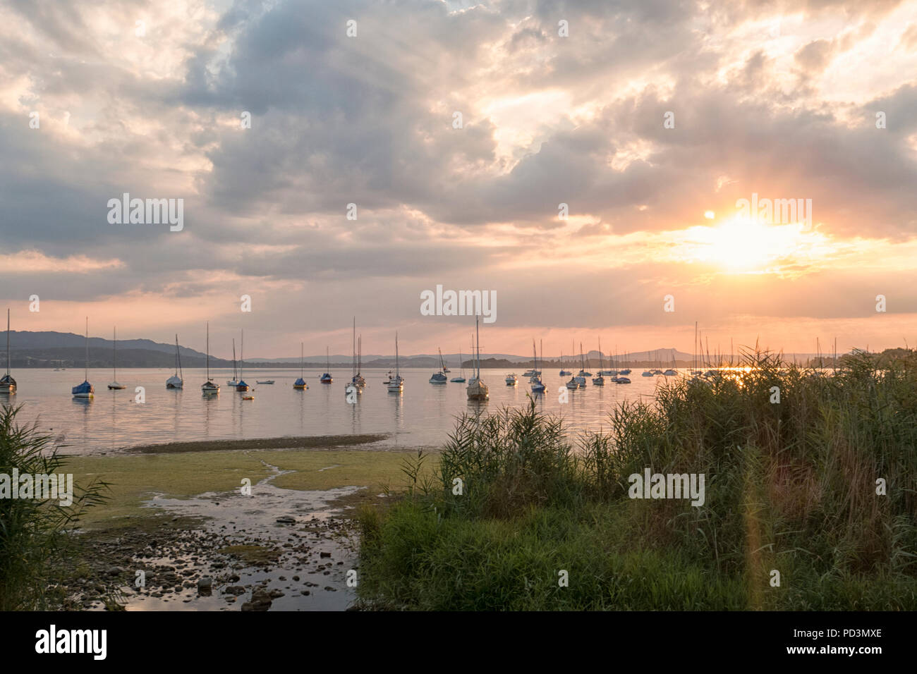 Barche a vela su Untersee, tramonto, Allensbach, Lago di Costanza, Baden-Württemberg, Germania Foto Stock