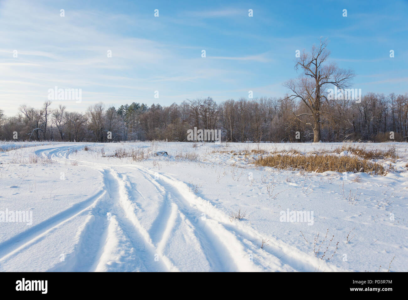 Paesaggio invernale con una strada e un albero in bianco e i toni di blu Foto Stock