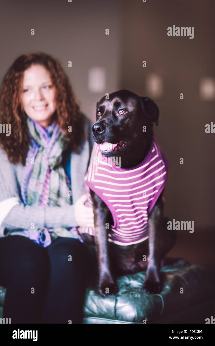 Donna e cane in t-shirt Foto Stock