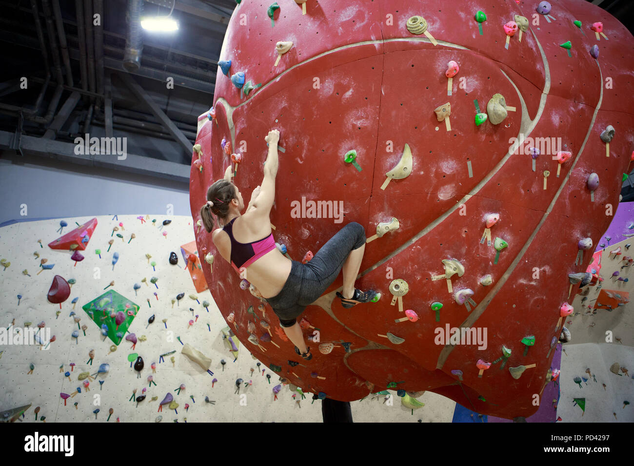 Foto dal retro del giovane atleta ragazza sul rosso sfera di arrampicata in sports hall Foto Stock