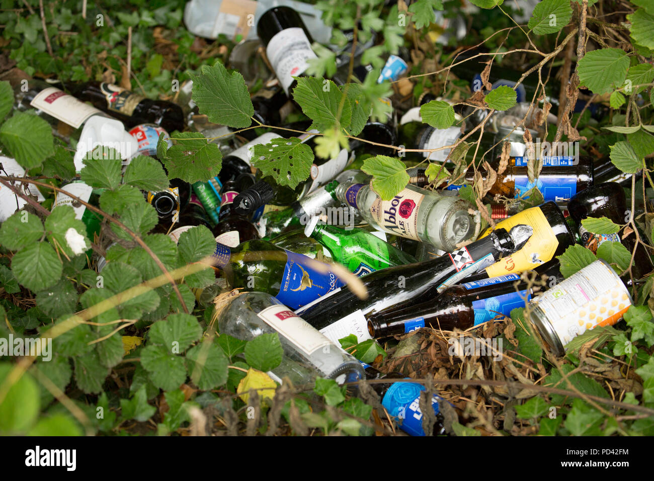 Le bottiglie di vetro e di altri rifiuti oggetto di dumping accanto a un laico da vicino al villaggio di Silverdale in Lancashire North West England Regno Unito GB Foto Stock