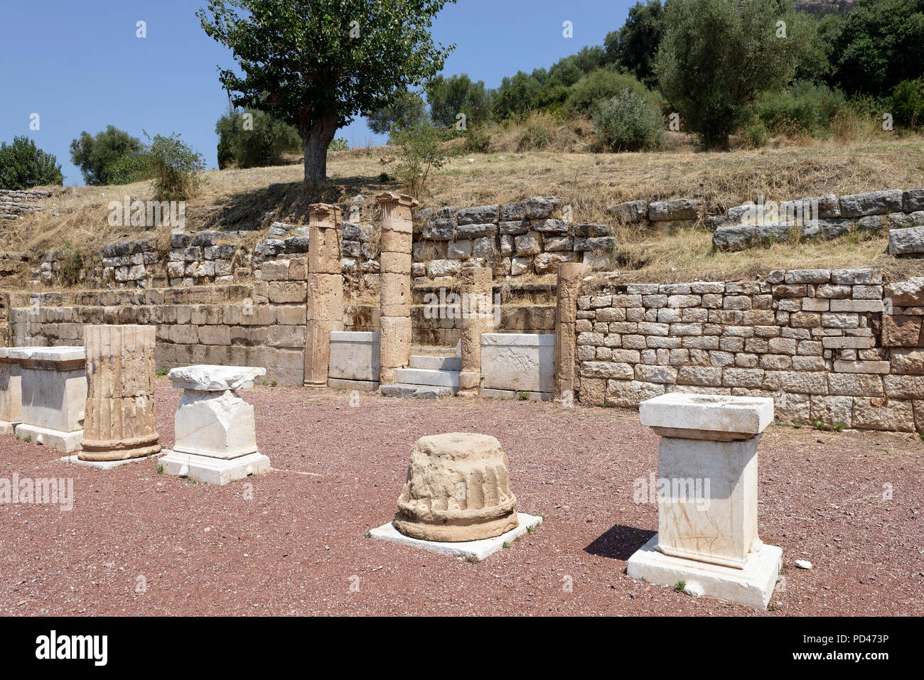 Inscritto in pietra basi statuto lungo una sezione dell'Agorà Nord Stoa. Antica Messene. Peloponneso. La Grecia. Il Nord di STOA è 196 metri e lungo 19. Foto Stock Inscritto in pietra basi statuto lungo una sezione dell'Agorà Nord Stoa. Antica Messene. Peloponneso. La Grecia. Il Nord di STOA è 196 metri e lungo 19. Foto Stock