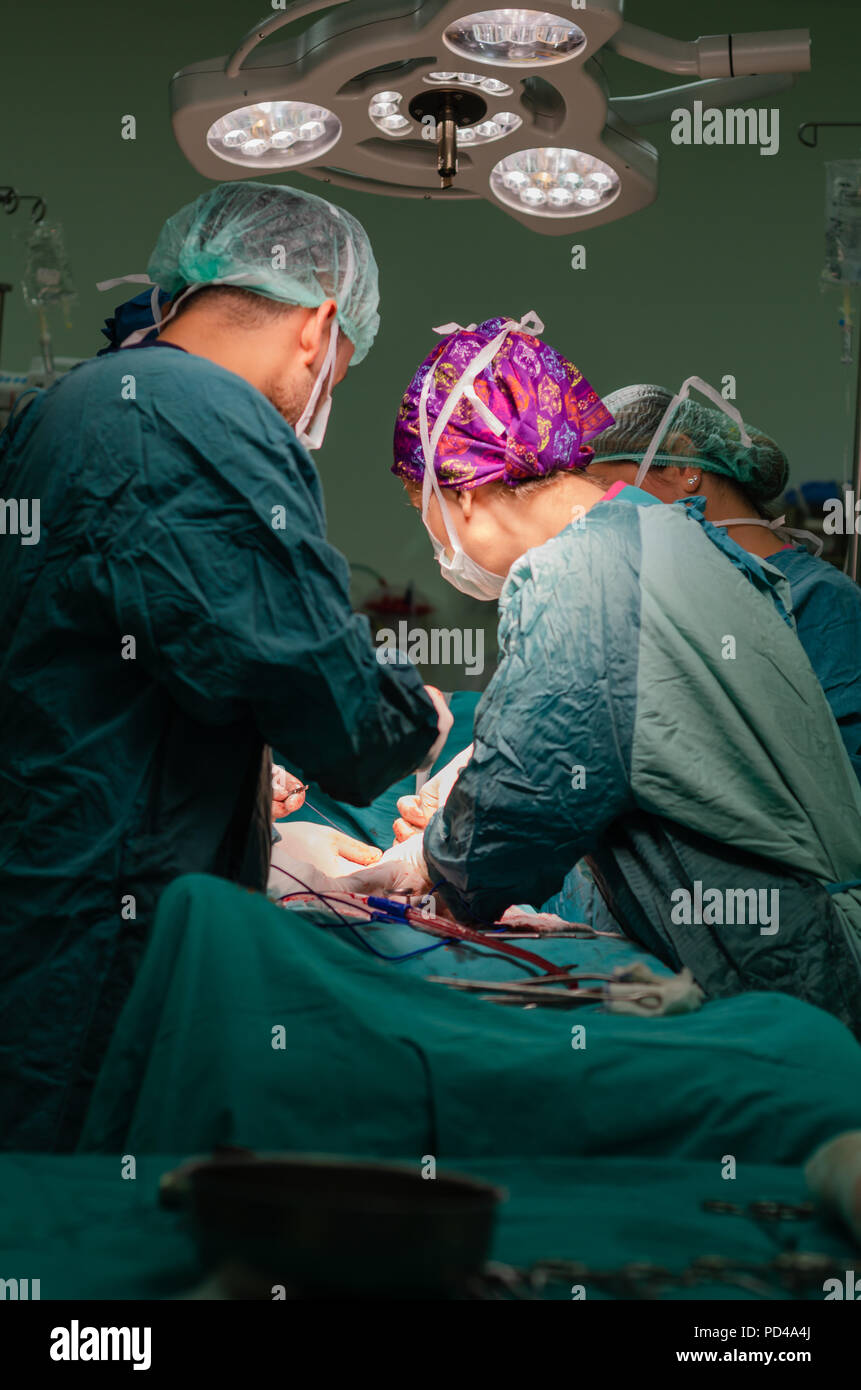 Medico concentrato, assistente e infermiere in un paziente durante una operazione di isterectomia in un ospedale Foto Stock