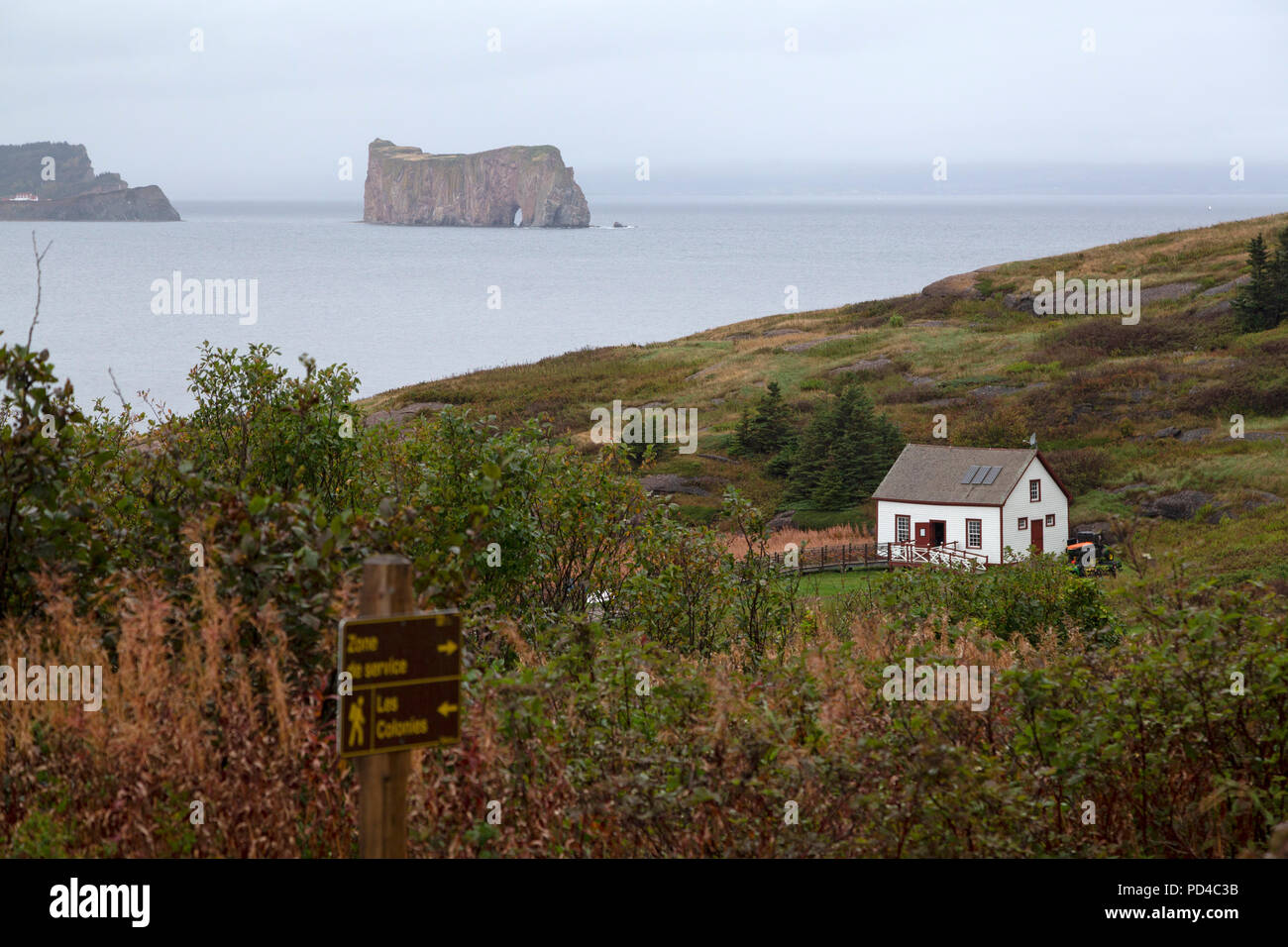 Cafe sulla Bonaventure Island, Canada. Perce roccia possono essere visti sullo sfondo, nel golfo di St Lawrence. Foto Stock