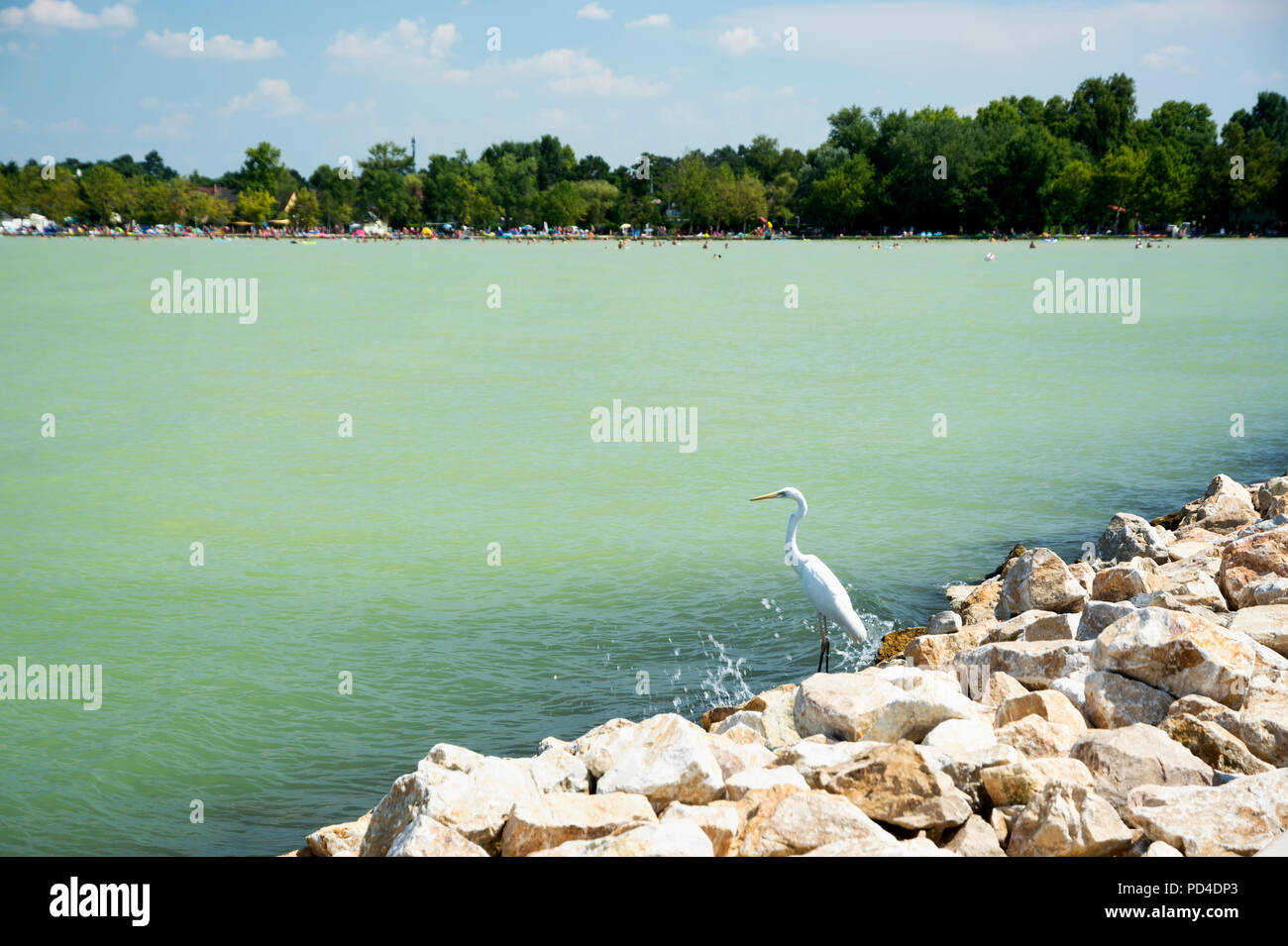 Estate al lago Balaton, Ungheria Foto Stock