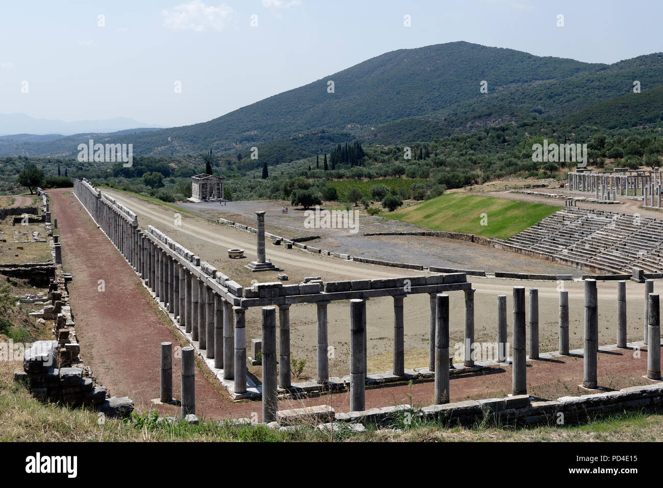 La palestra e il complesso dello stadio a Antica Messene. Peloponneso. La Grecia. Il ferro di cavallo-estremità sagomata di stadio comprende 18 gradinate con 18 Foto Stock La palestra e il complesso dello stadio a Antica Messene. Peloponneso. La Grecia. Il ferro di cavallo-estremità sagomata di stadio comprende 18 gradinate con 18 Foto Stock