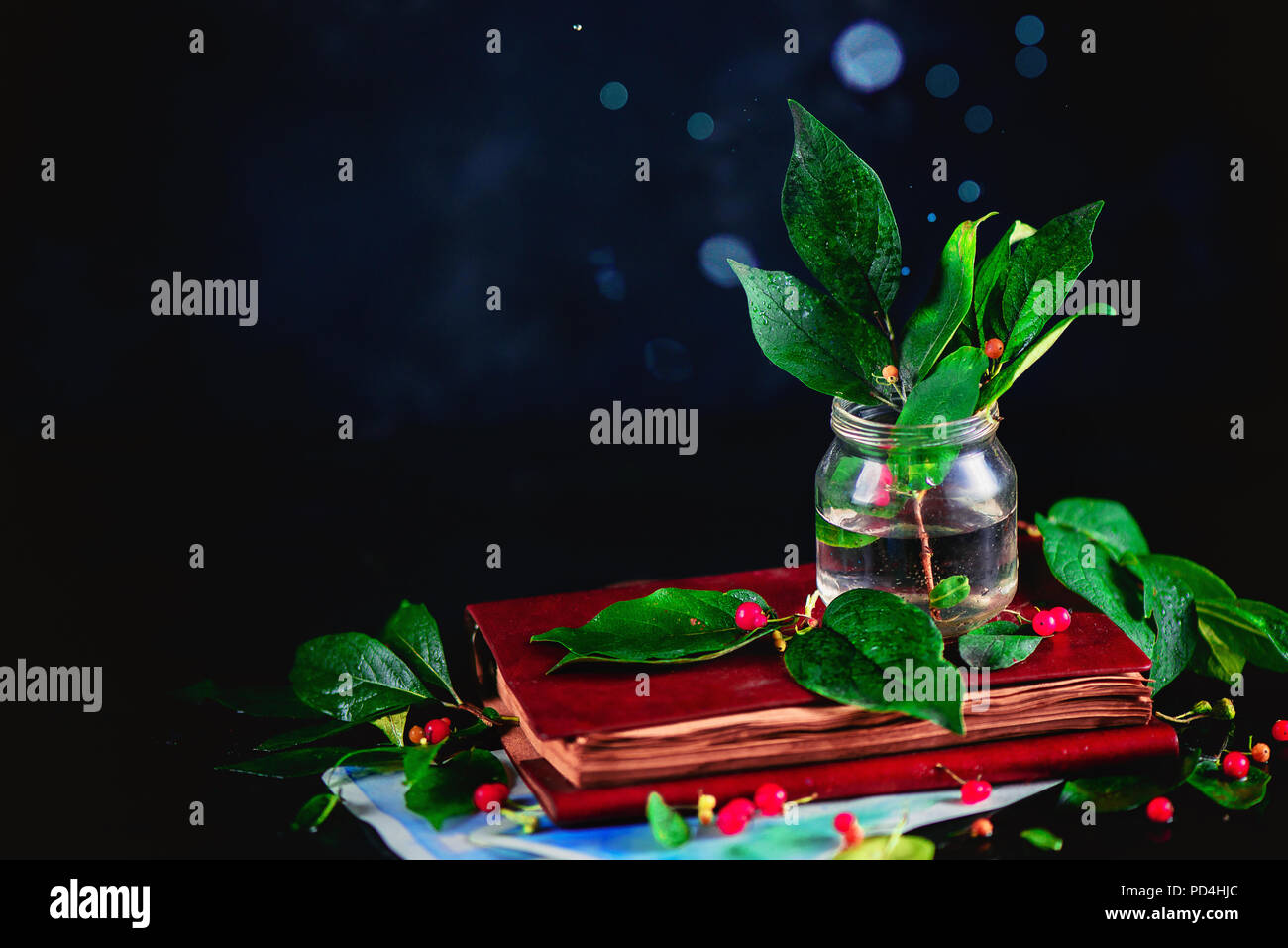 Foglie verdi in un vasetto di vetro su un notebook in pelle in un buio stagionali vita ancora con la rugiada bokeh e copia di spazio. Foto Stock