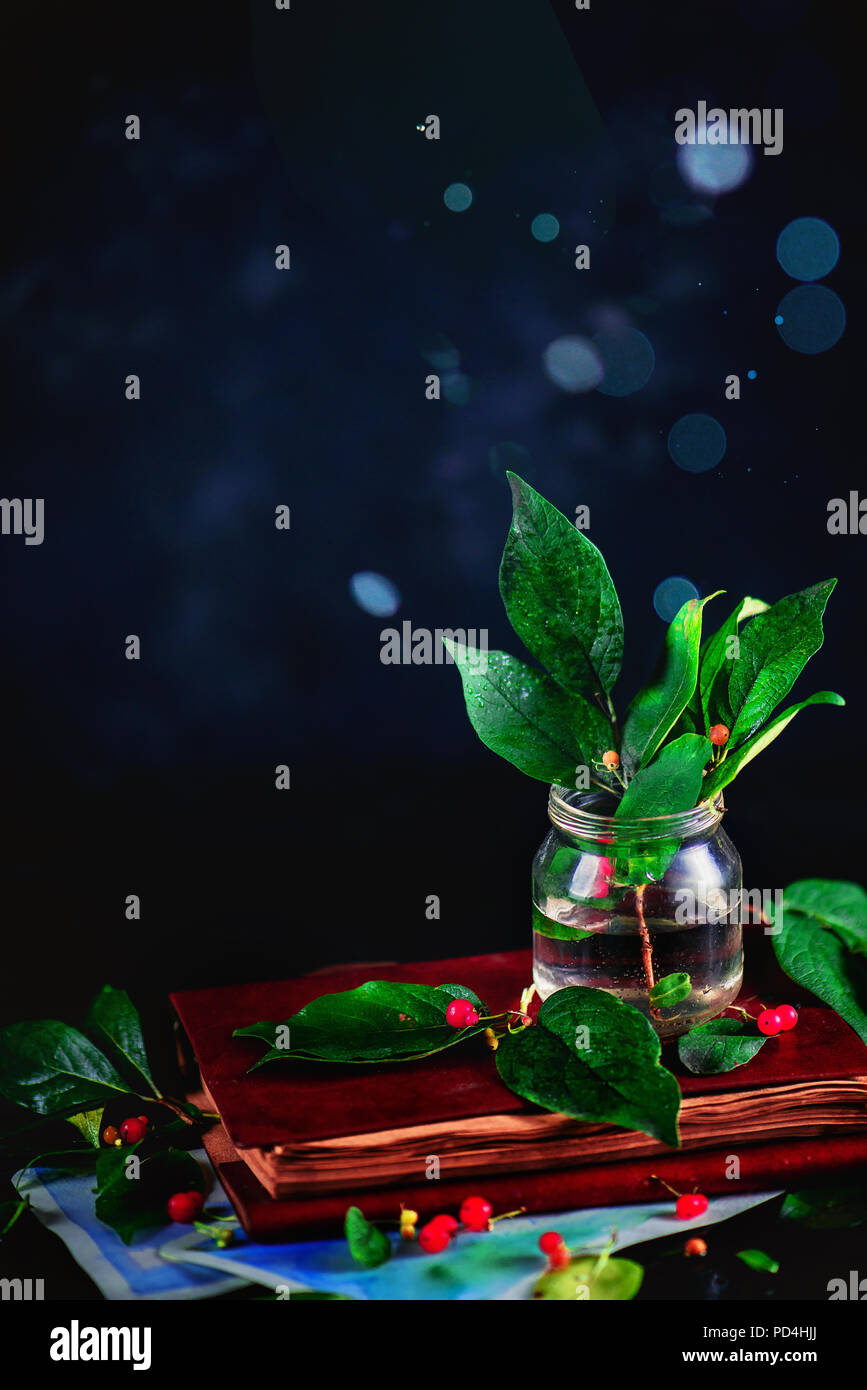 Foglie verdi in un vasetto di vetro su un notebook in pelle in un buio stagionali vita ancora con la rugiada bokeh e copia di spazio. Foto Stock
