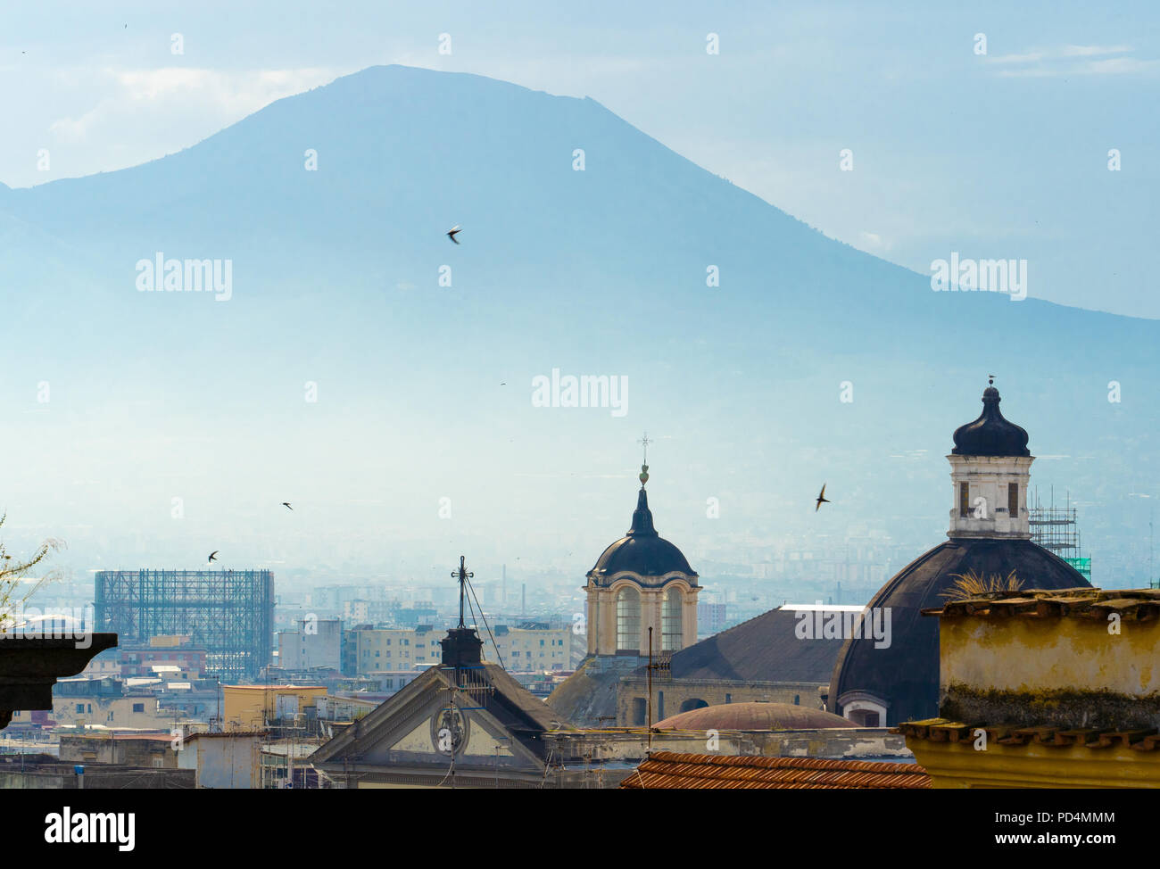 Vista la mattina del Vesuvio su Napoli tetti, a cupola e le guglie, uccelli in silhouette Foto Stock